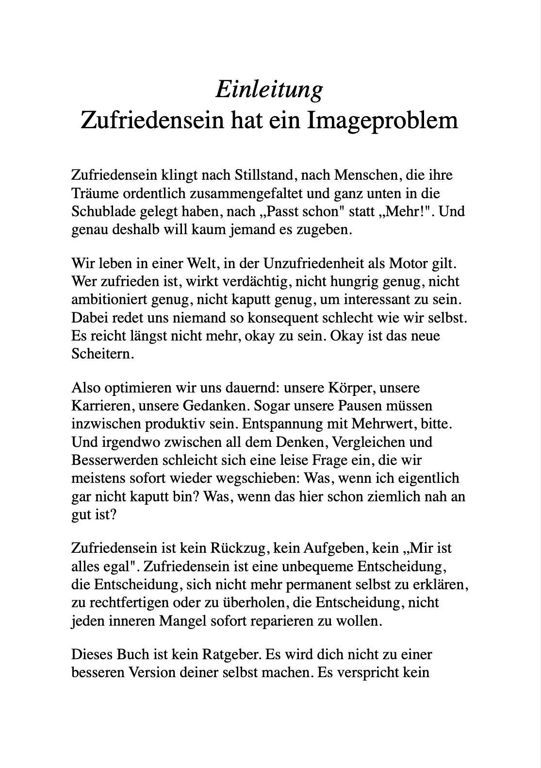 Beispielinhalt (Bild) DER HEI¿E SCHEI¿ VOM ZUFRIEDENSEIN