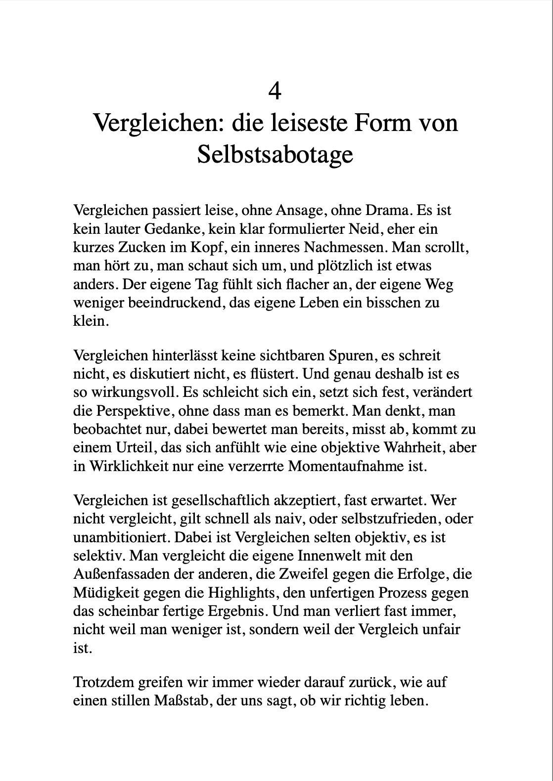 Beispielinhalt (Bild) DER HEI¿E SCHEI¿ VOM ZUFRIEDENSEIN