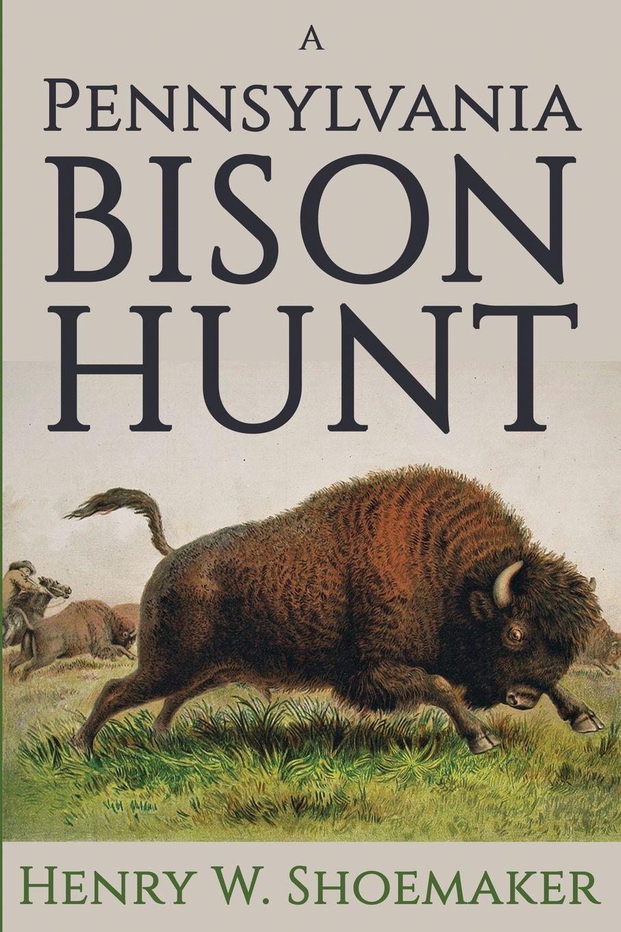 Vorderes Coverbild A Pennsylvania Bison Hunt