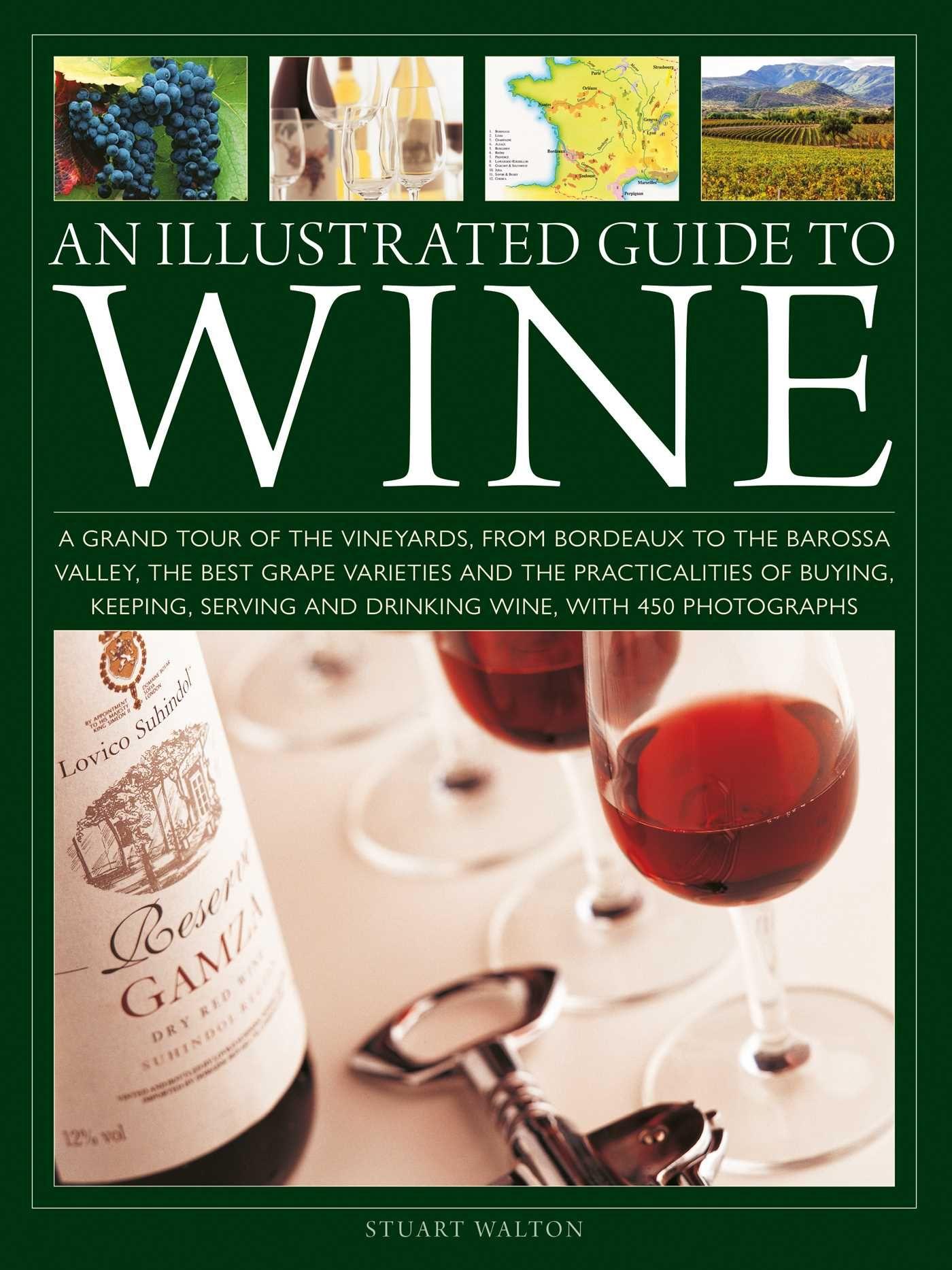 Vorderes Coverbild An Illustrated Guide to Wine