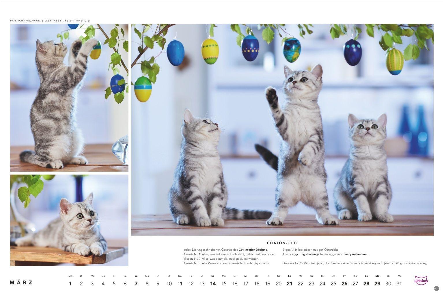Beispielinhalt (Bild) Whiskas Katzenkalender 2027