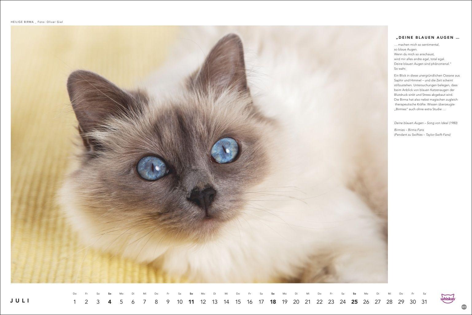 Beispielinhalt (Bild) Whiskas Katzenkalender 2027