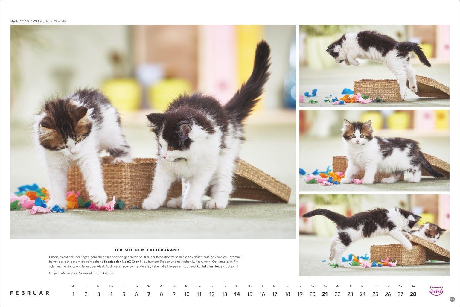 Beispielinhalt (Bild) Whiskas Katzenkalender 2027