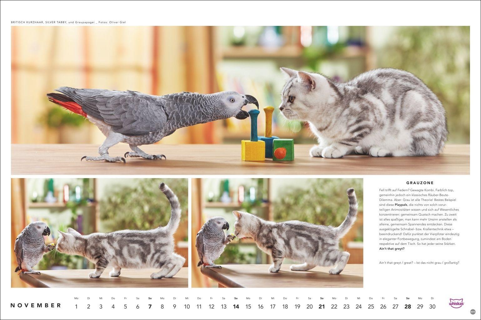 Beispielinhalt (Bild) Whiskas Katzenkalender 2027
