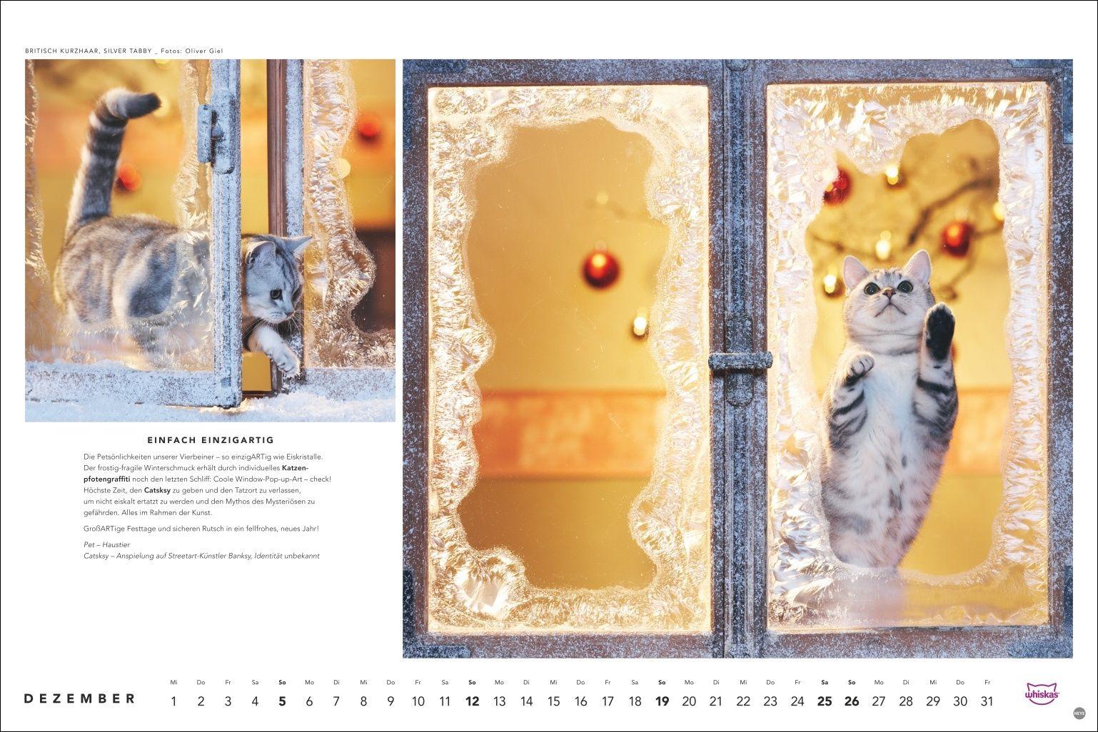 Beispielinhalt (Bild) Whiskas Katzenkalender 2027