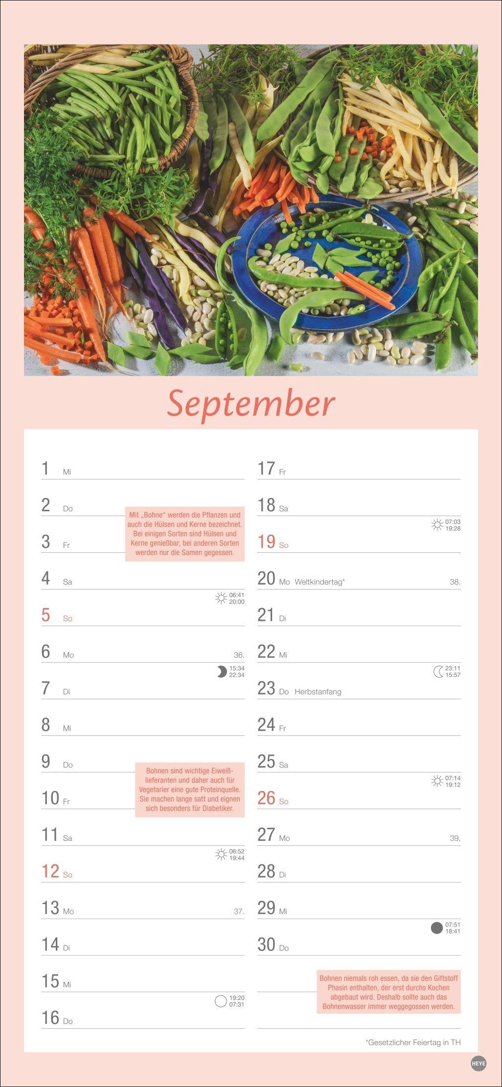 Beispielinhalt (Bild) Küchenplaner 2027