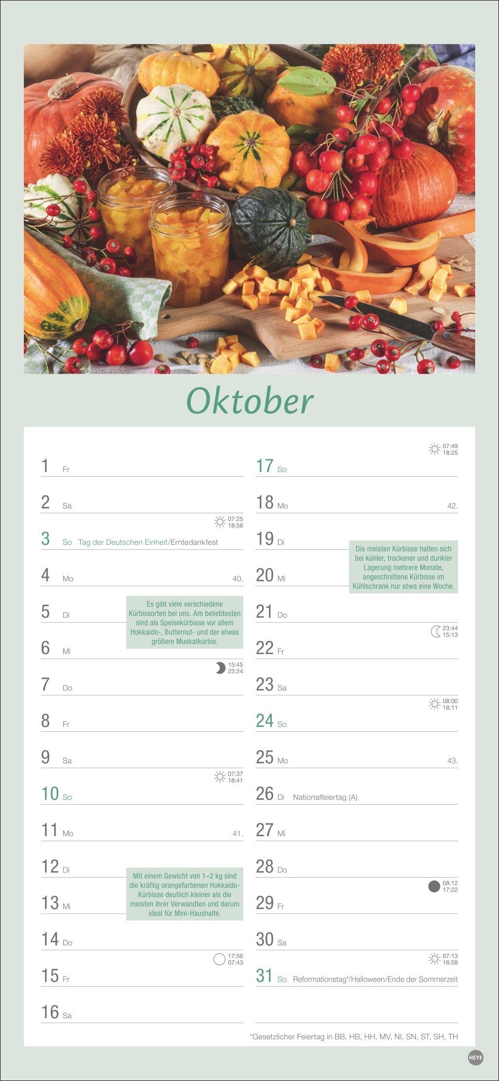 Beispielinhalt (Bild) Küchenplaner 2027