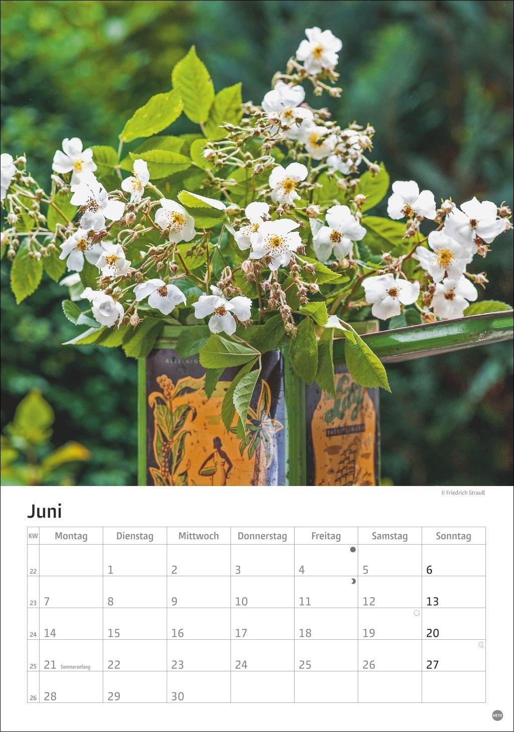 Beispielinhalt (Bild) Rosenpracht Kalender 2027