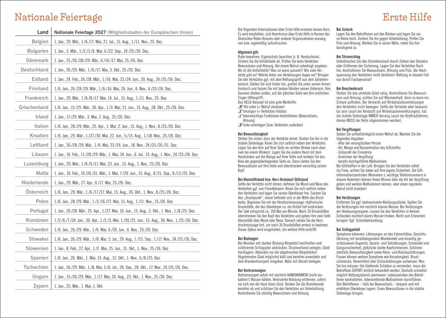 Beispielinhalt (Bild) Rosina Wachtmeister Kalenderbuch A6 2027