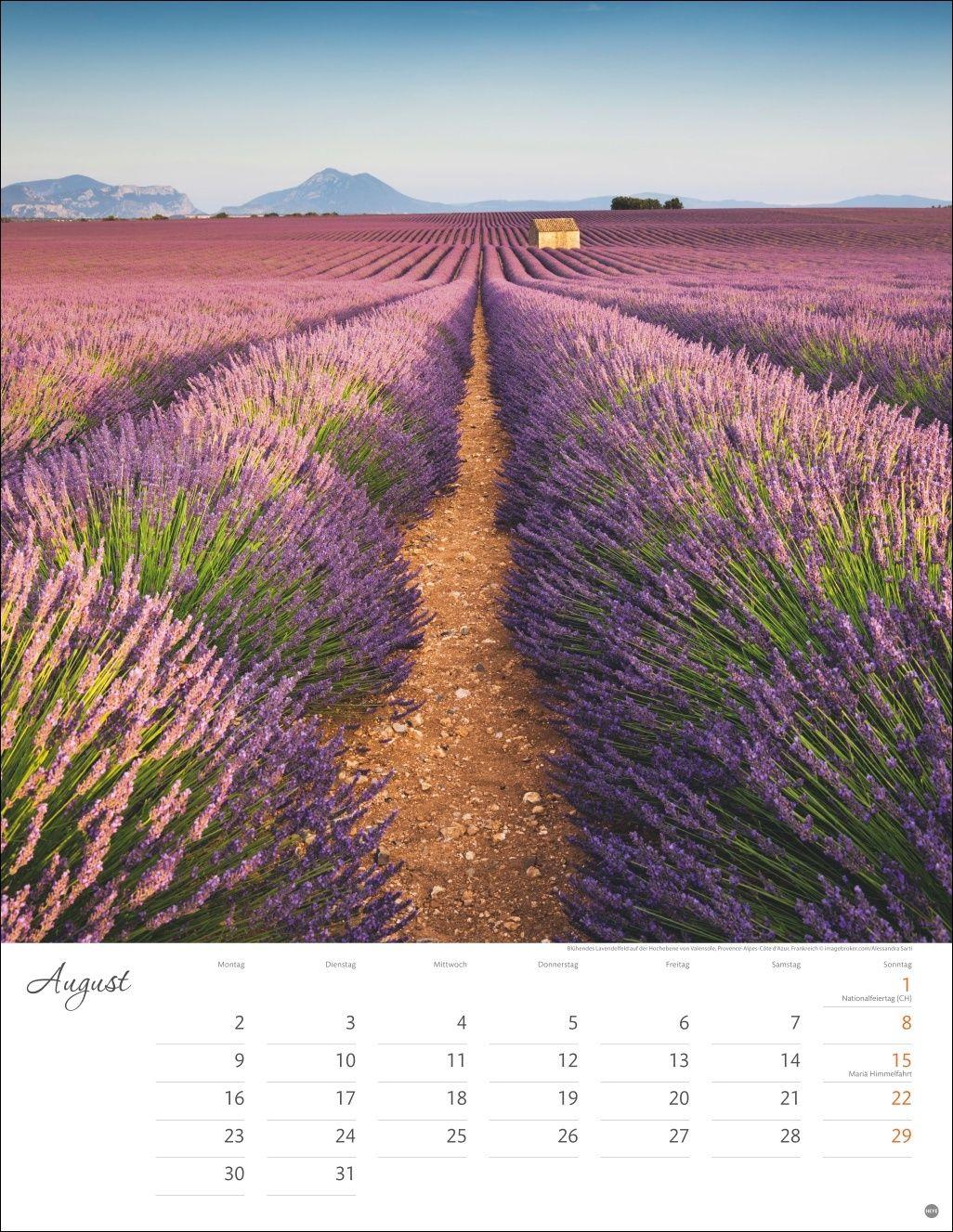 Beispielinhalt (Bild) Wege zum Träumen Posterkalender 2027