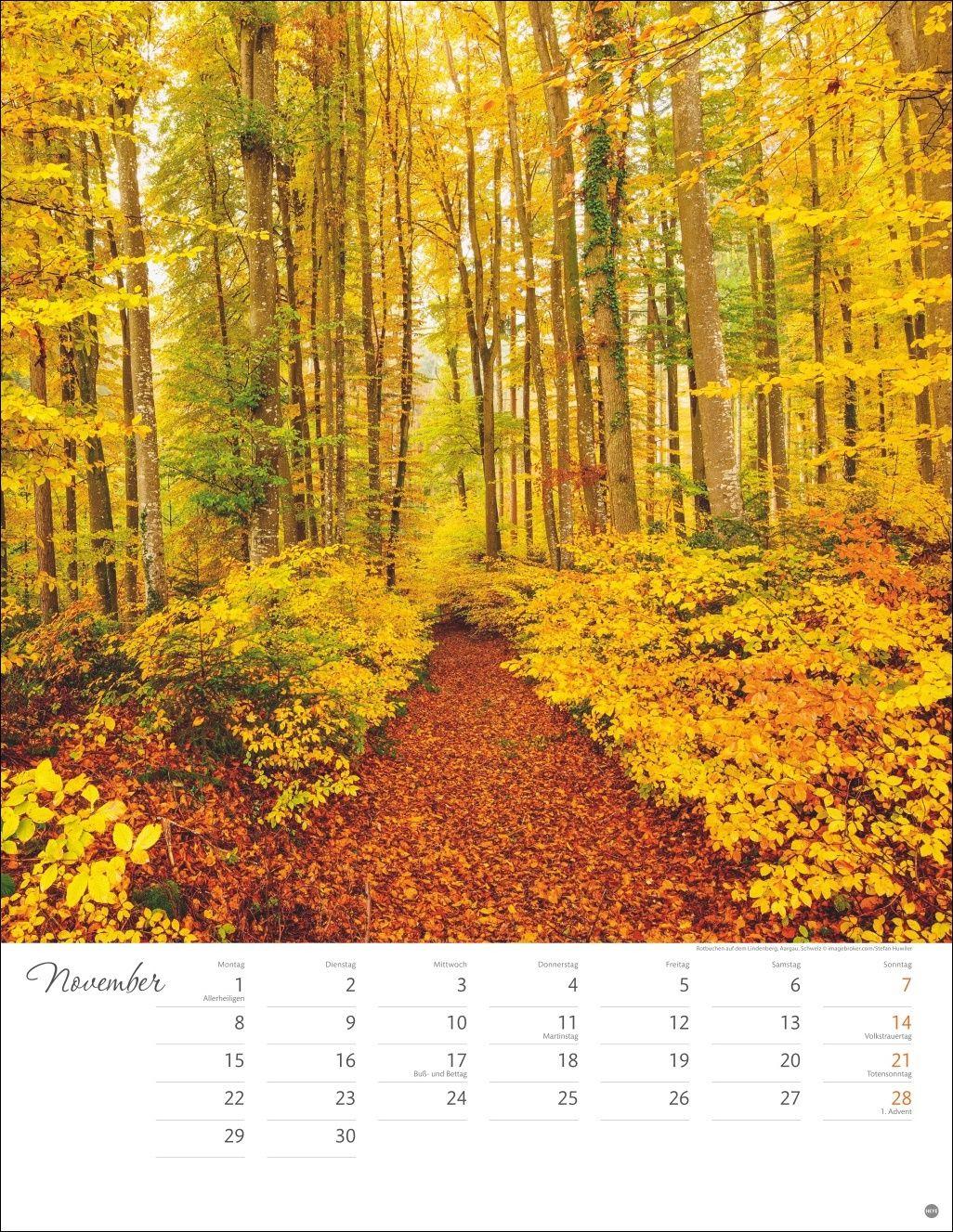 Beispielinhalt (Bild) Wege zum Träumen Posterkalender 2027