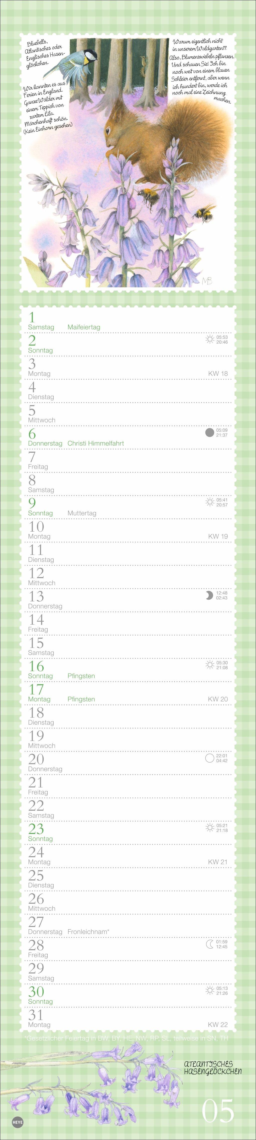 Beispielinhalt (Bild) Marjolein Bastin: Die bunte Vogelwelt Langplaner 2027