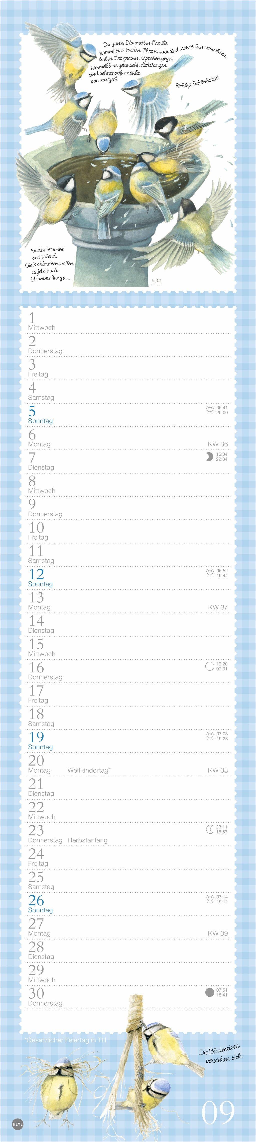 Beispielinhalt (Bild) Marjolein Bastin: Die bunte Vogelwelt Langplaner 2027
