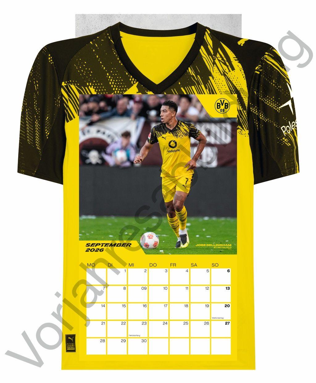 Beispielinhalt (Bild) BVB Trikotkalender 2027
