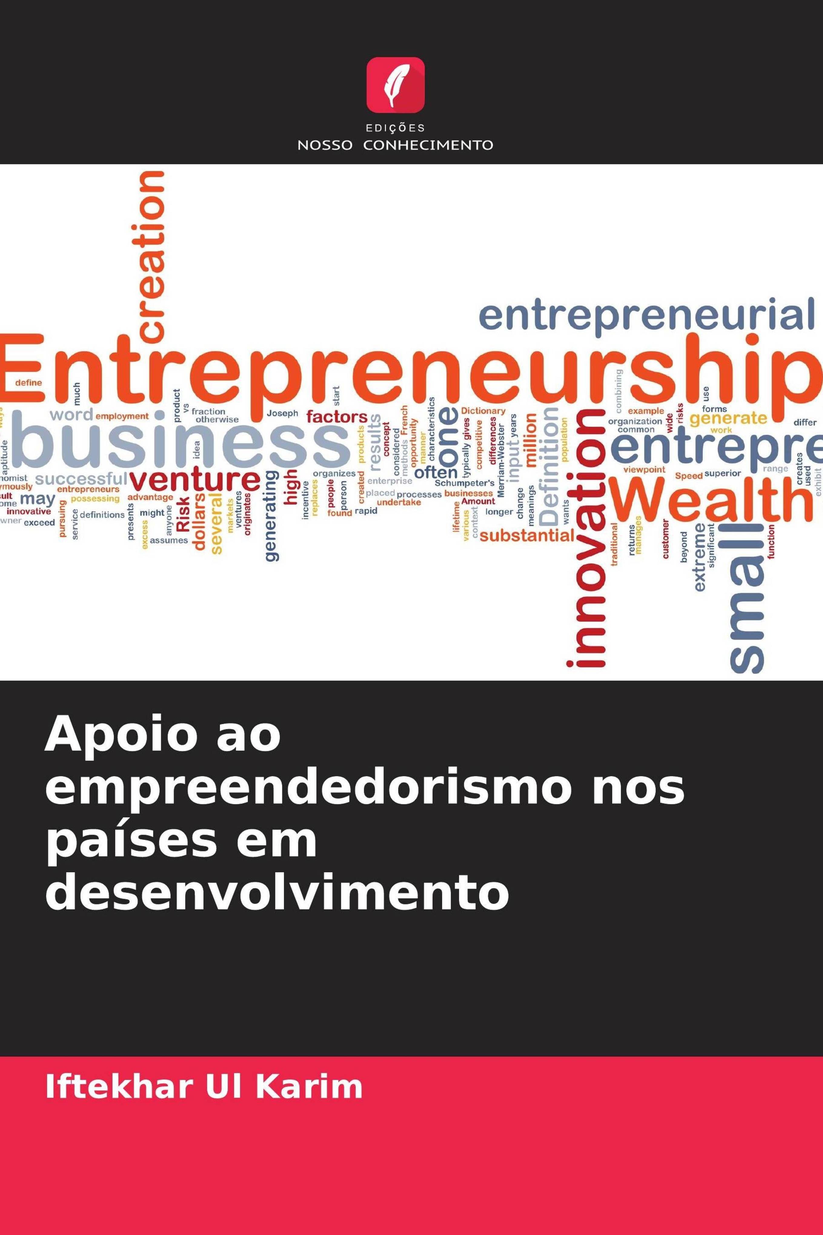 Vorderes Coverbild Apoio ao empreendedorismo nos países em desenvolvimento