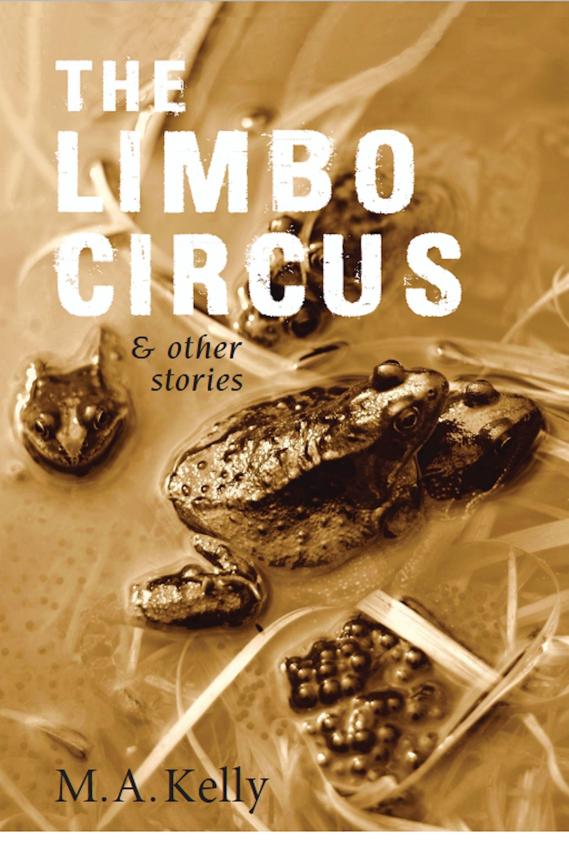 Vorderes Coverbild Limbo Circus