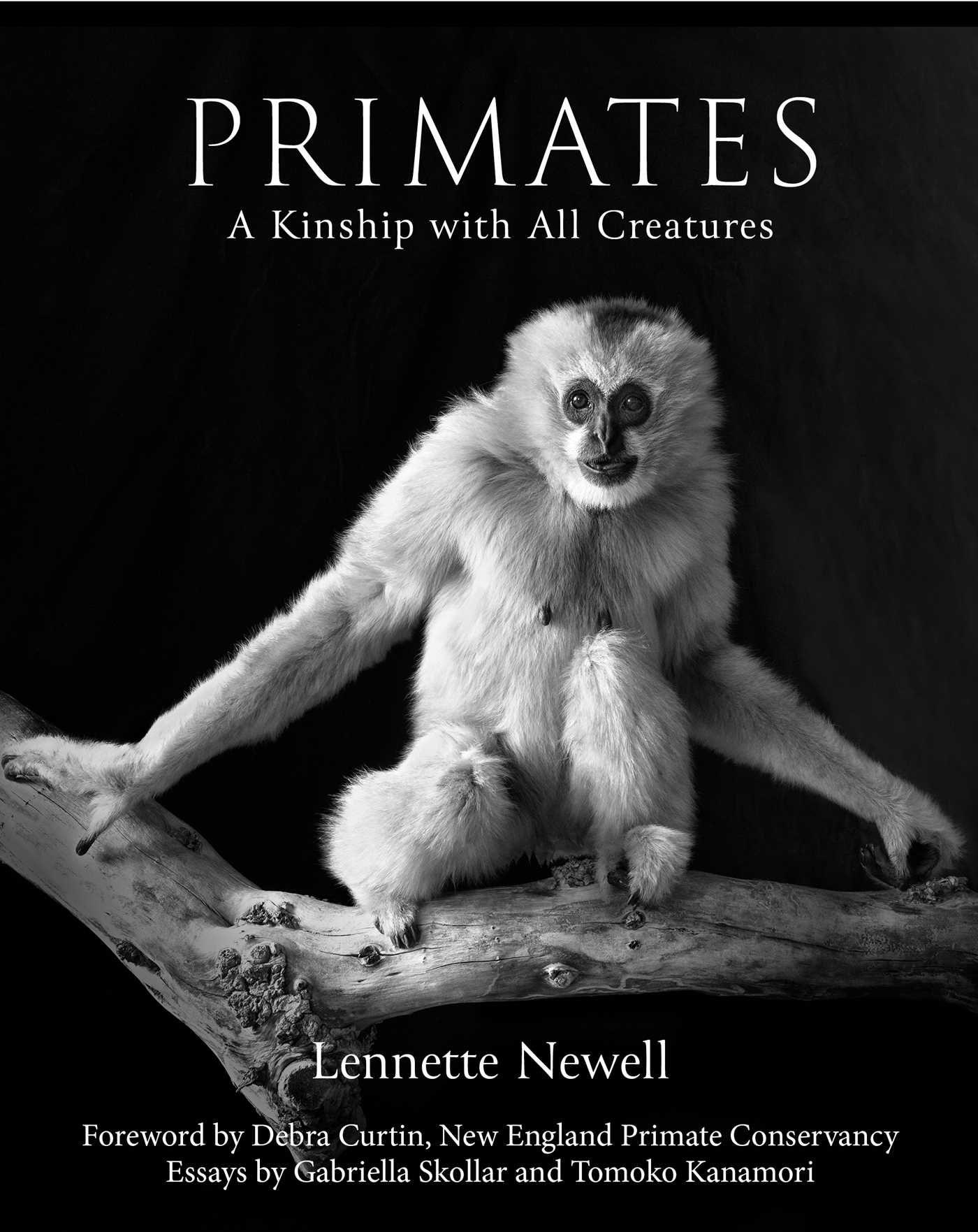 Vorderes Coverbild Primates