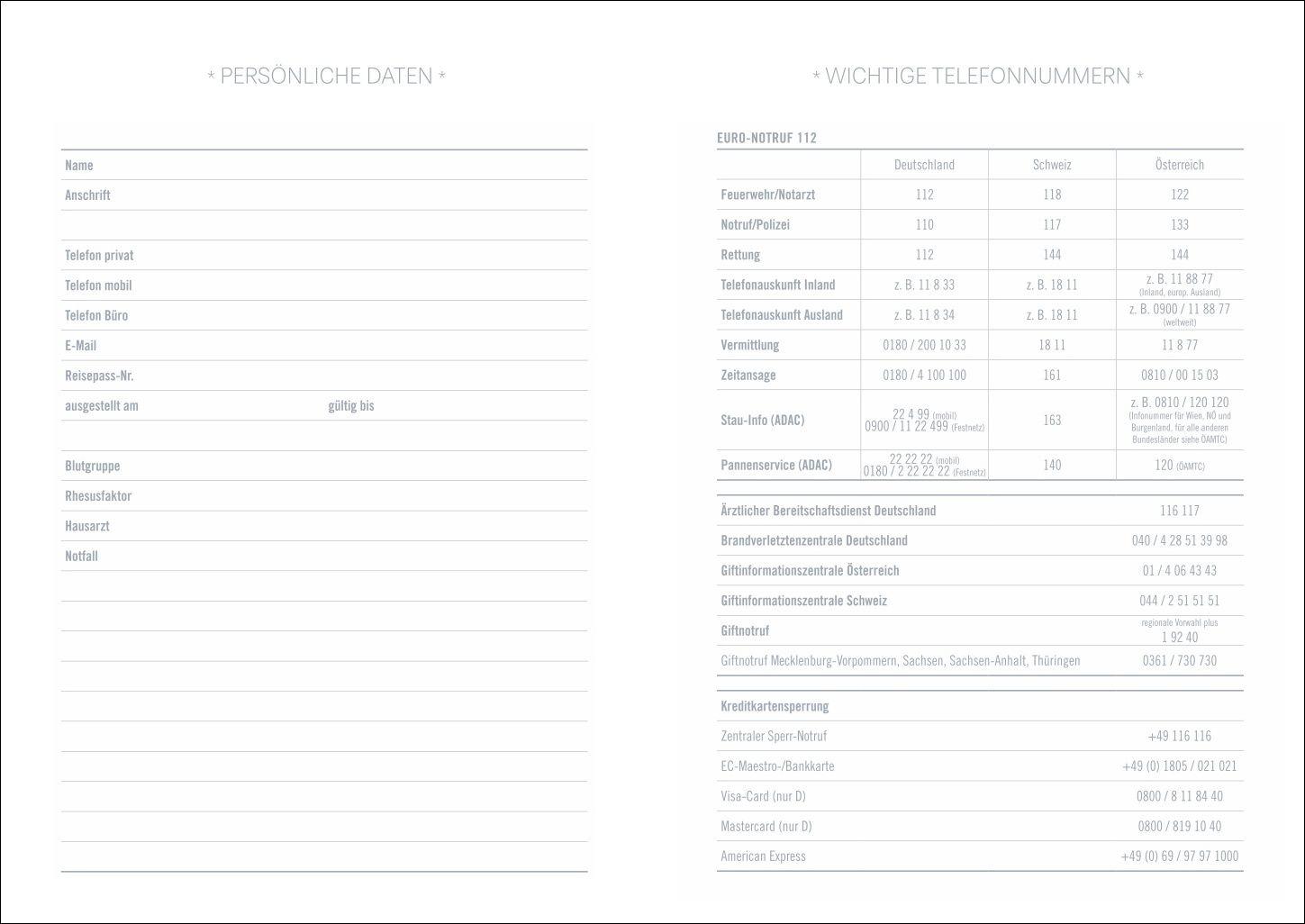 Beispielinhalt (Bild) Design Diary Frida 2027
