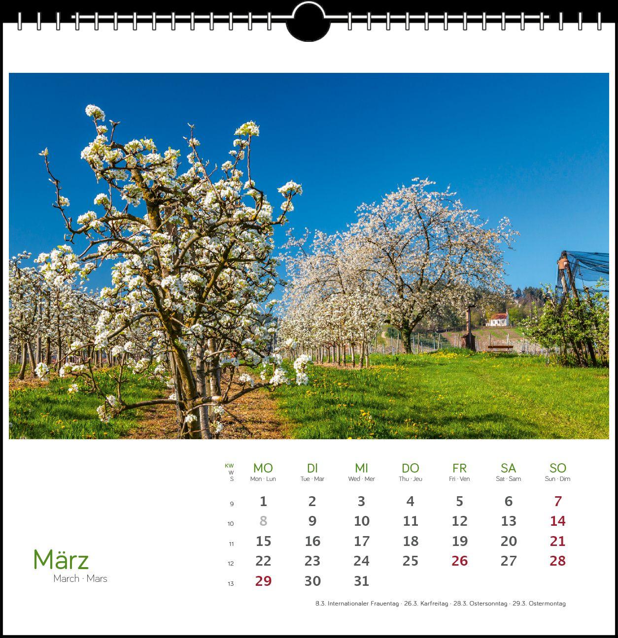 Beispielinhalt (Bild) Schwarzwald 2027