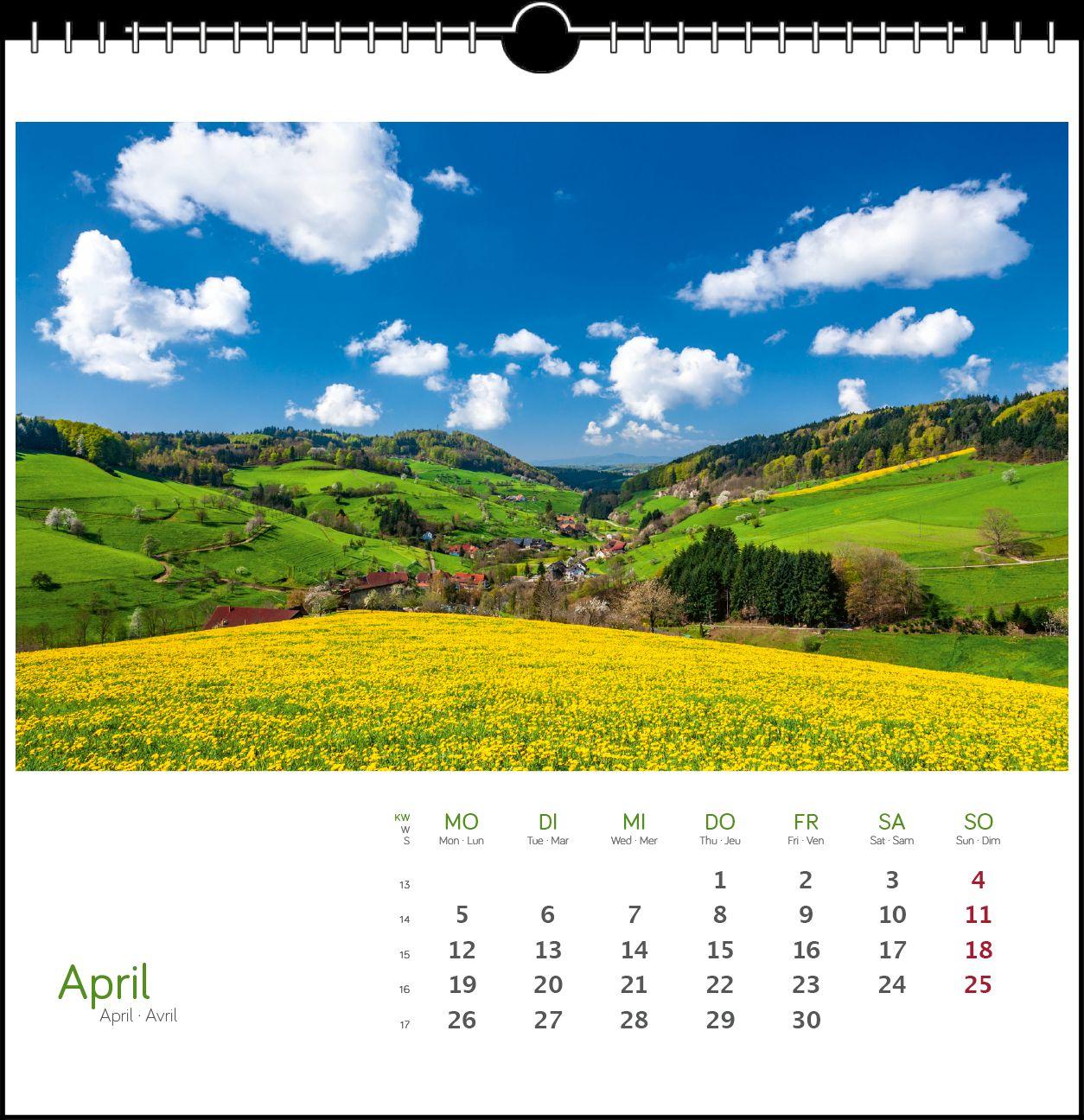 Beispielinhalt (Bild) Schwarzwald 2027