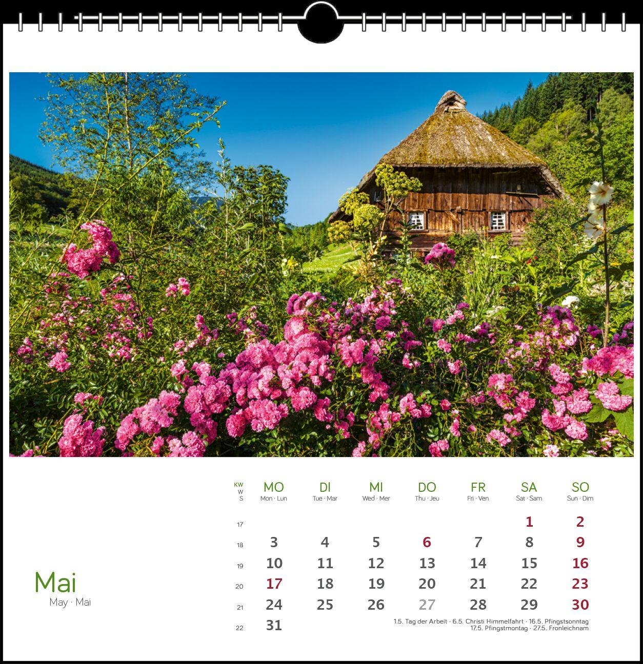 Beispielinhalt (Bild) Schwarzwald 2027