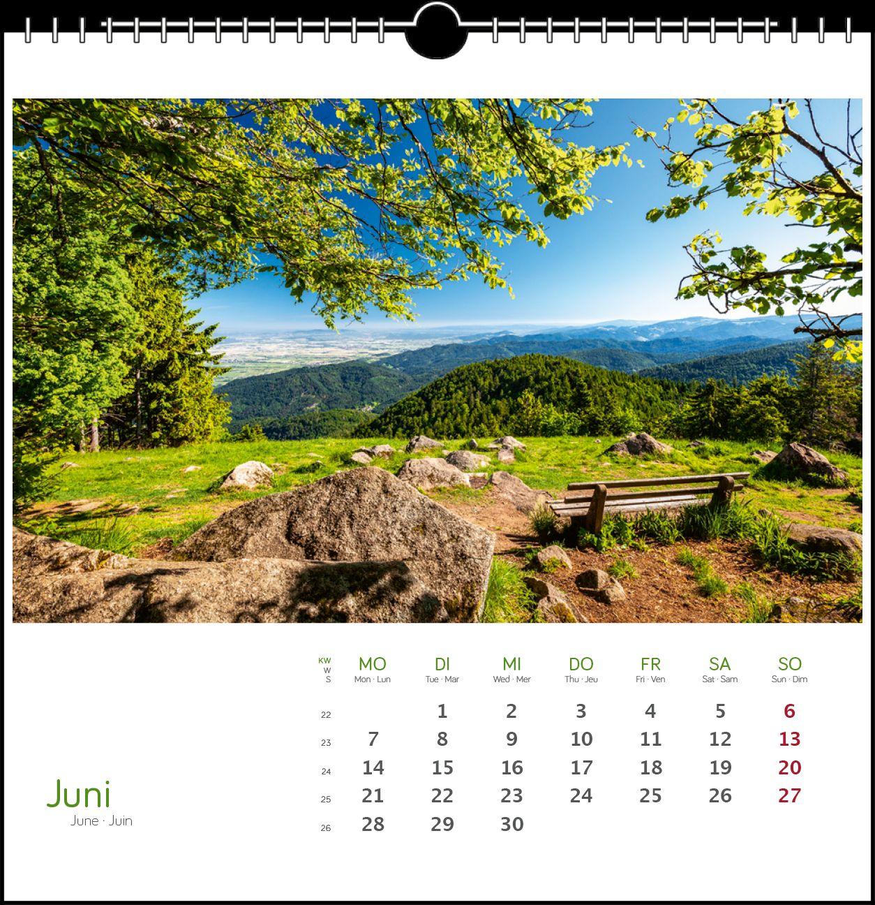 Beispielinhalt (Bild) Schwarzwald 2027