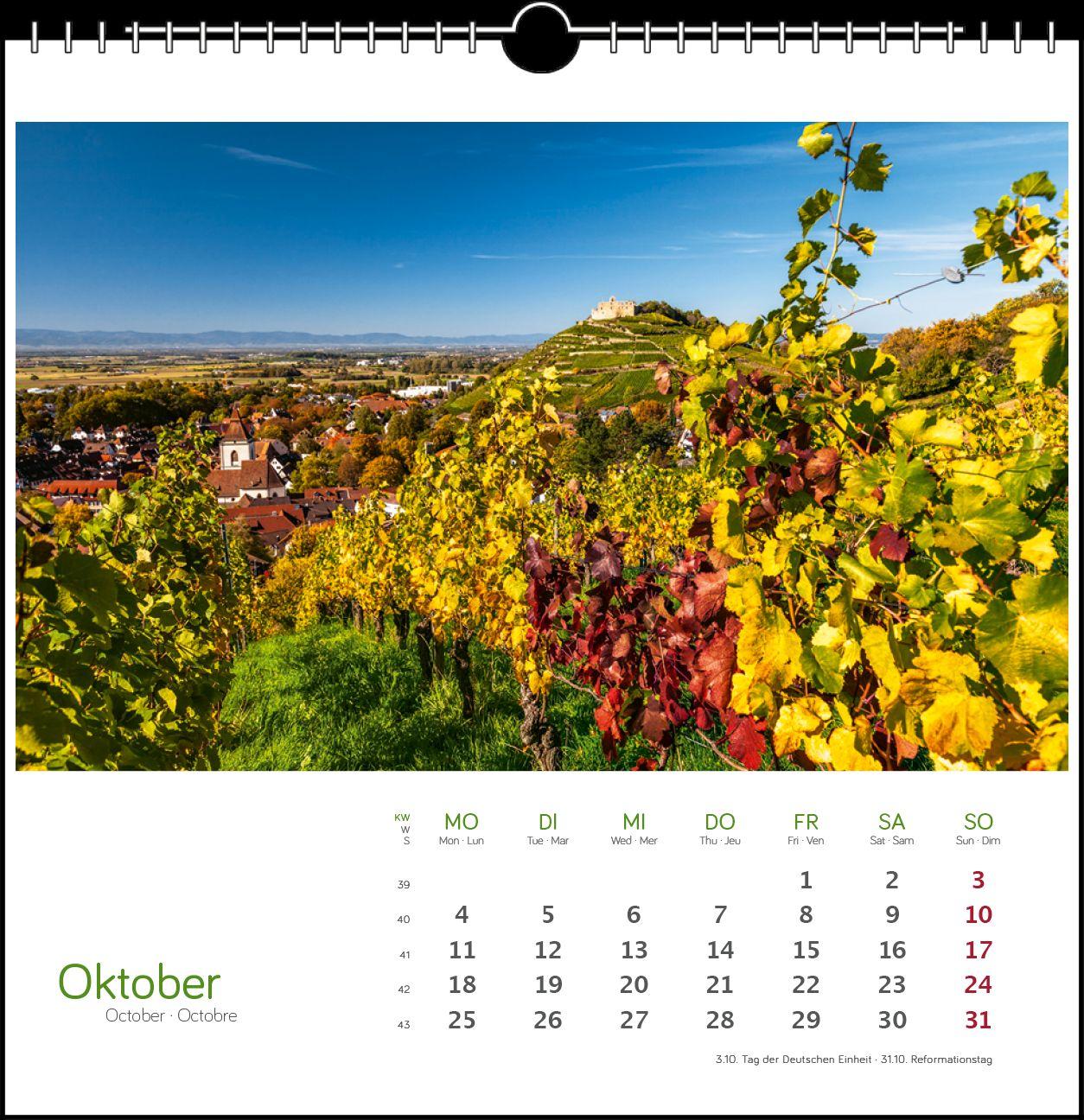 Beispielinhalt (Bild) Schwarzwald 2027