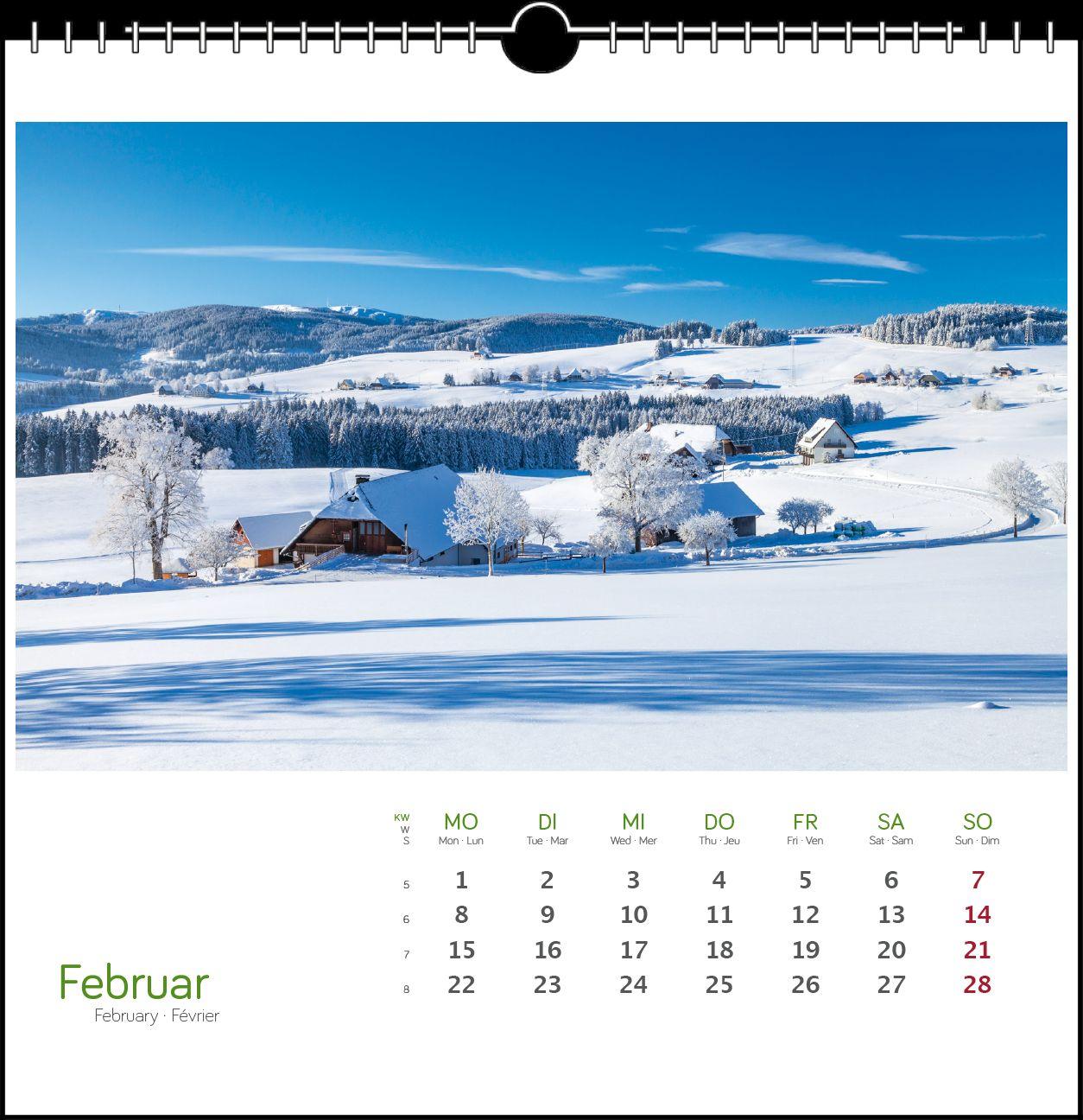 Beispielinhalt (Bild) Schwarzwald 2027