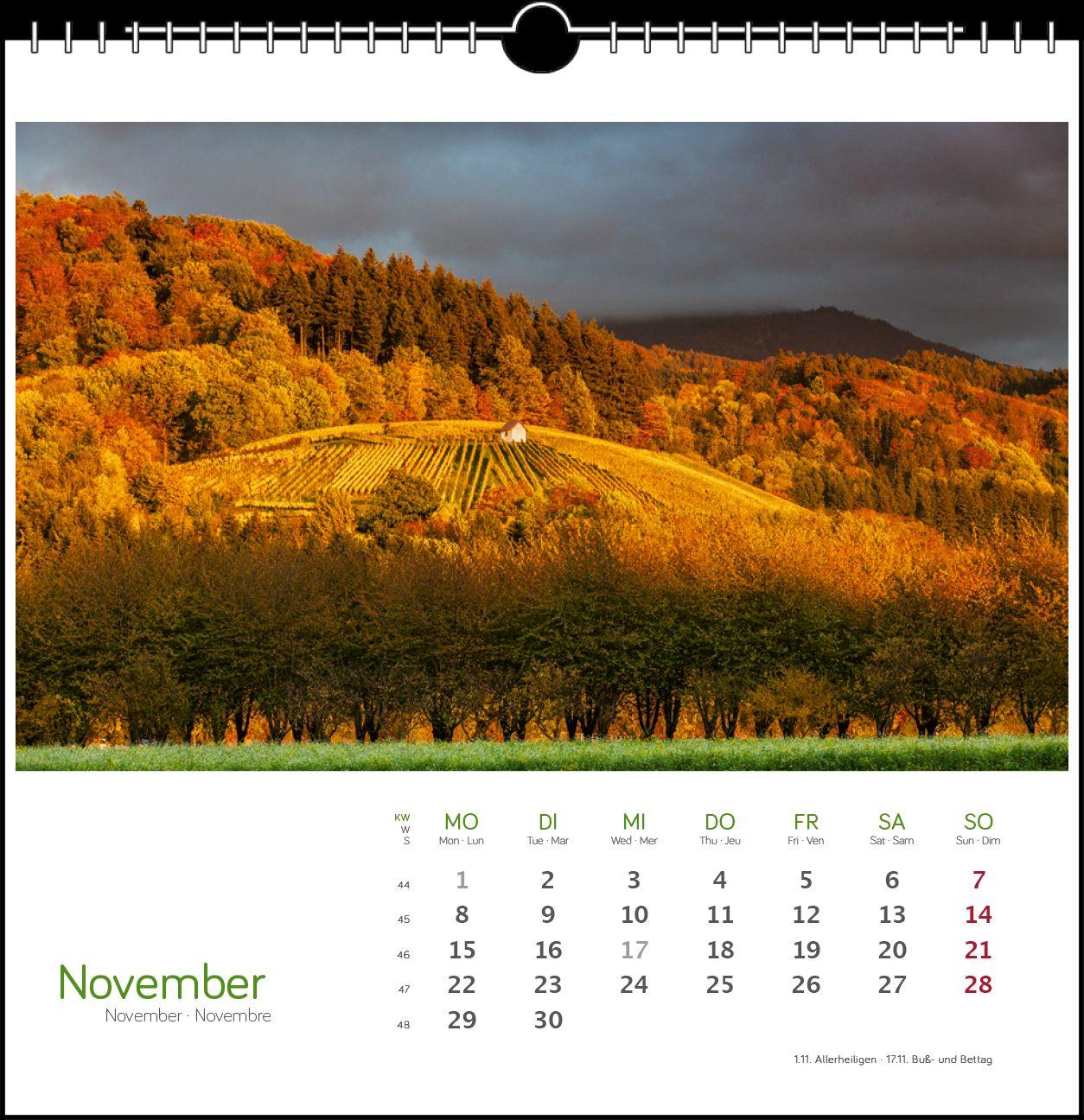 Beispielinhalt (Bild) Schwarzwald 2027