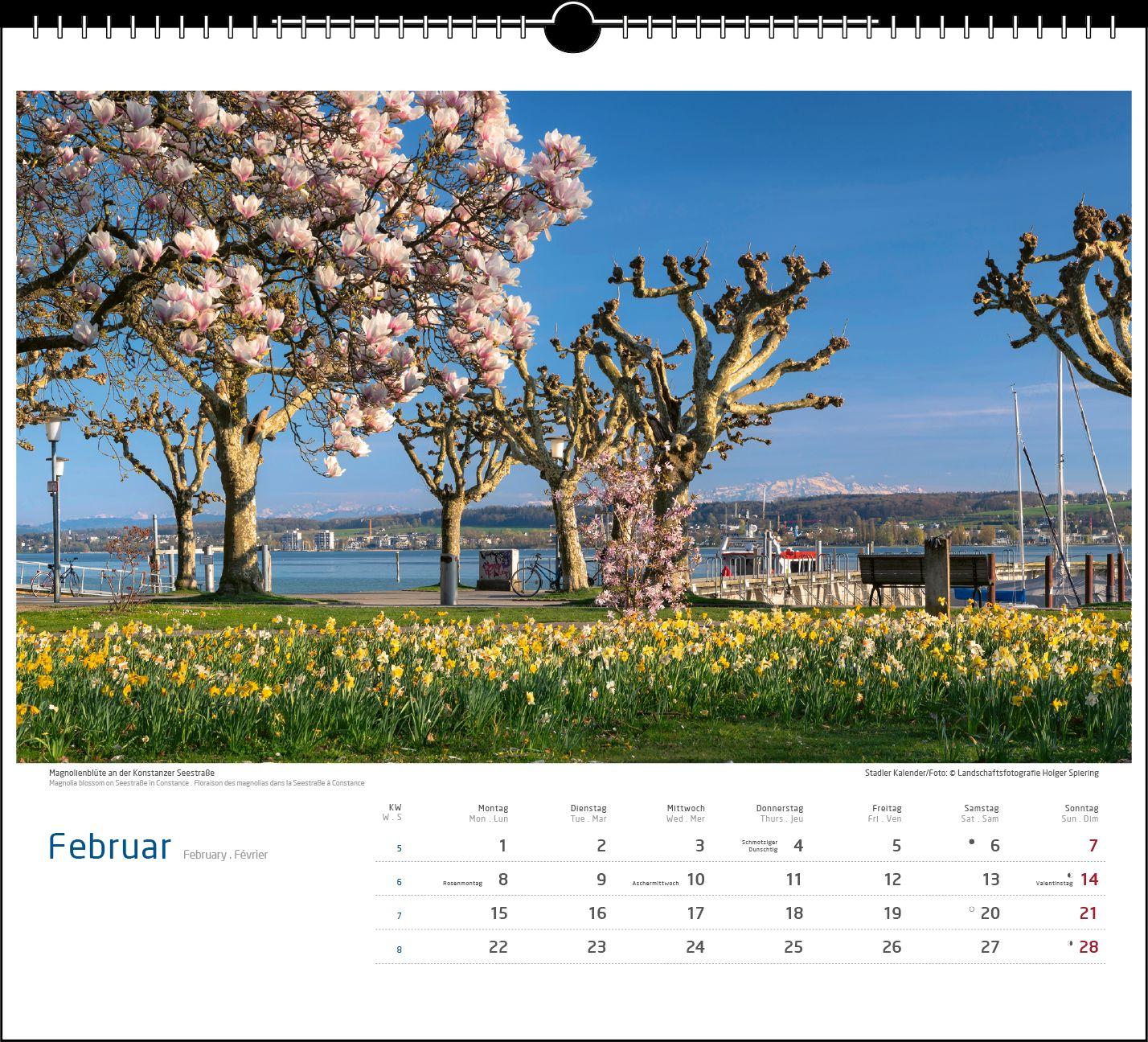 Beispielinhalt (Bild) Malerischer Bodensee 2027