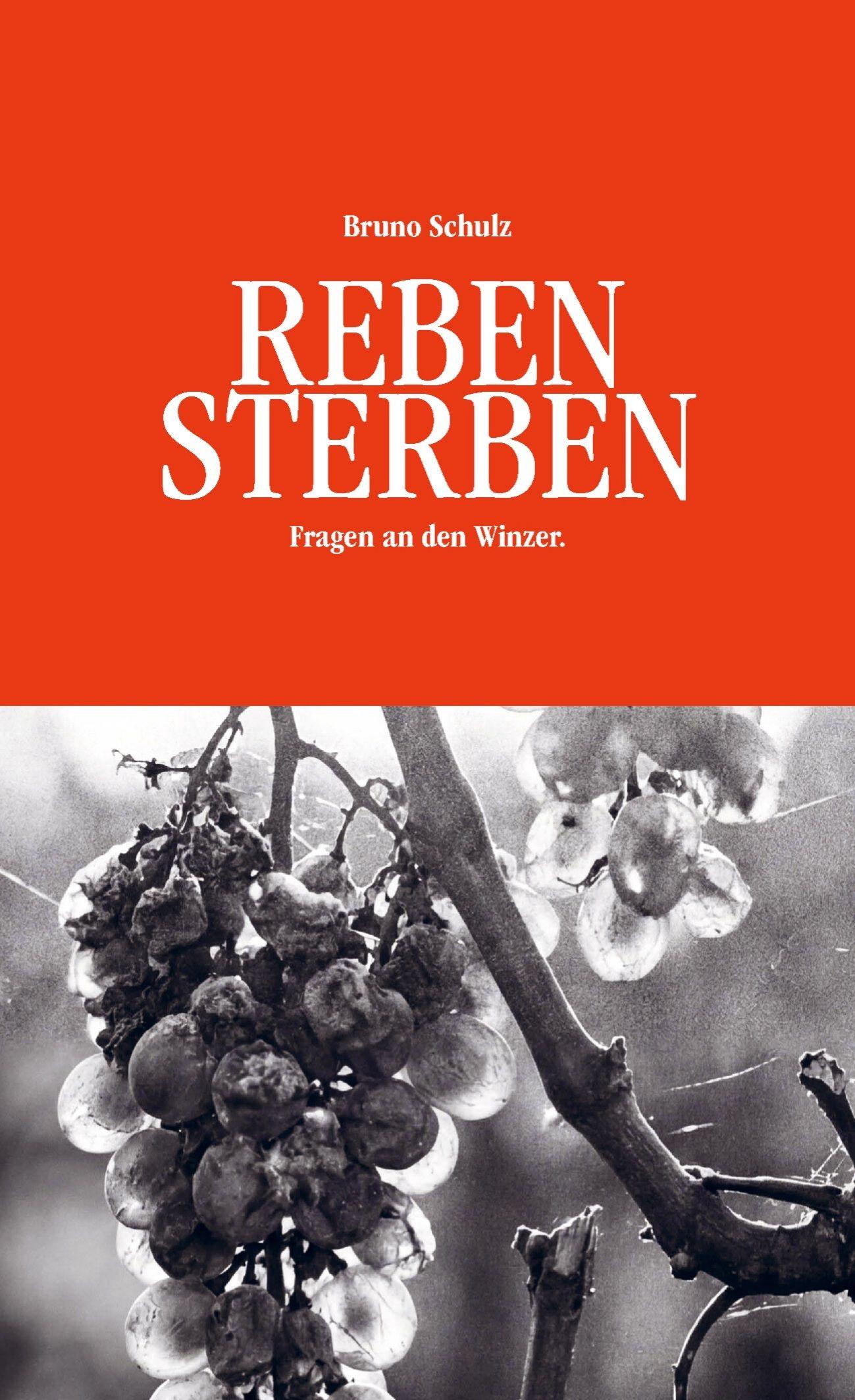 Vorderes Coverbild REBENSTERBEN