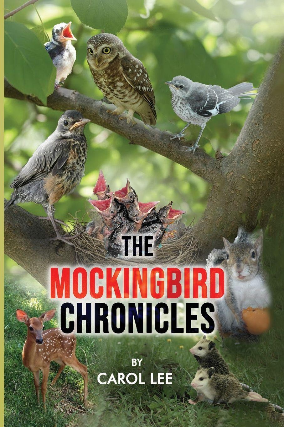 Vorderes Coverbild The Mockingbird Chronicles