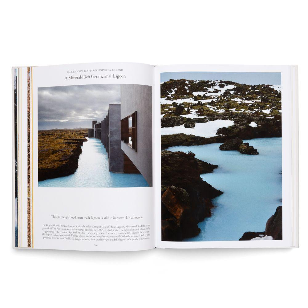 Beispielinhalt (Bild) The Nature of Swimming (Updated Edition)