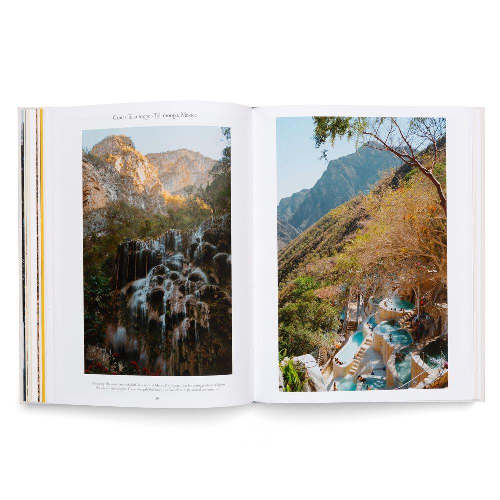 Beispielinhalt (Bild) The Nature of Swimming (Updated Edition)