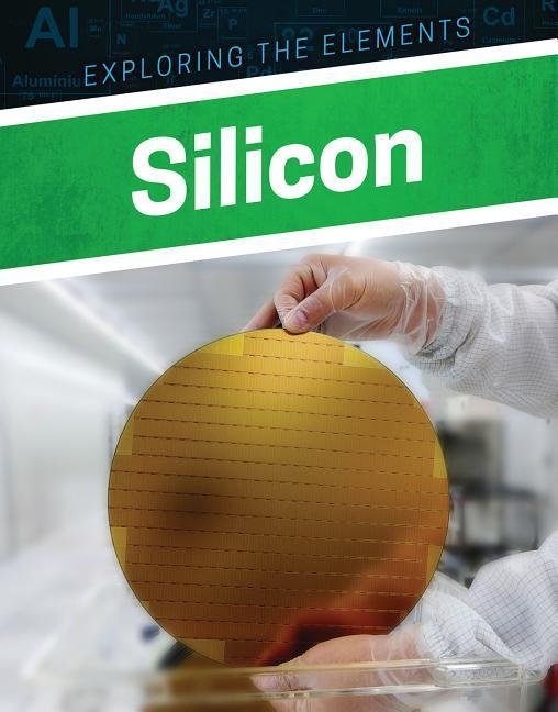 Vorderes Coverbild Silicon