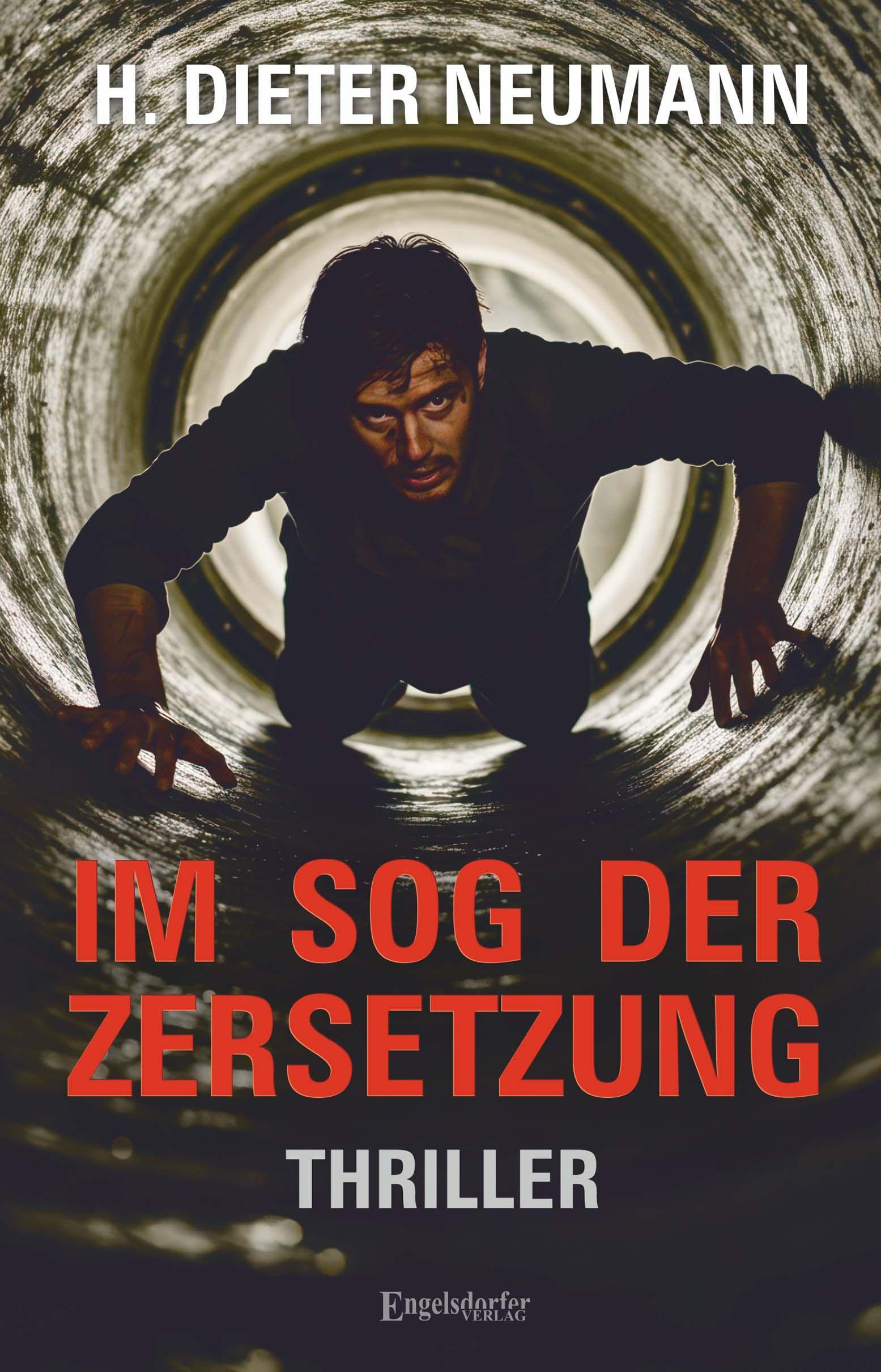 Vorderes Coverbild Im Sog der Zersetzung