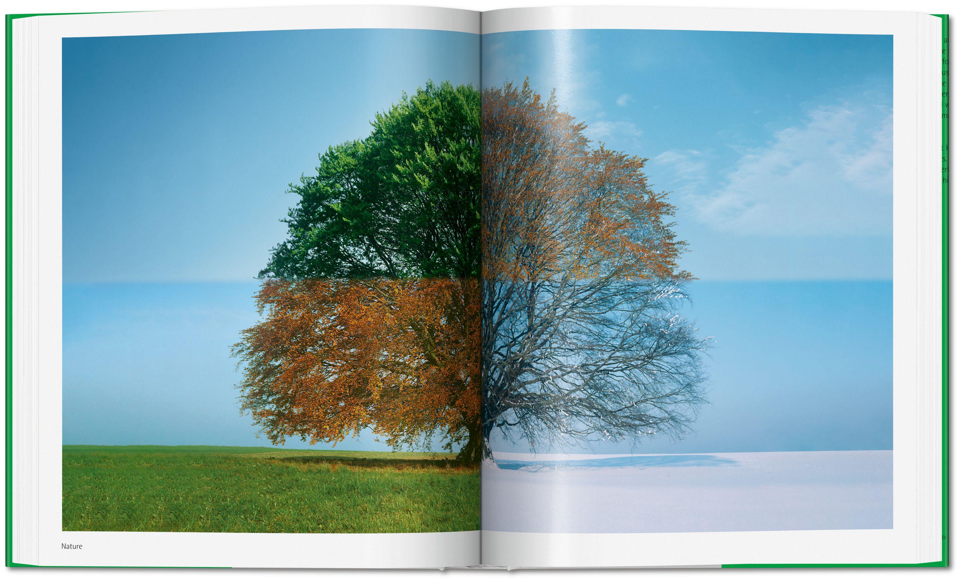 Beispielinhalt (Bild) Norman Foster. Networks