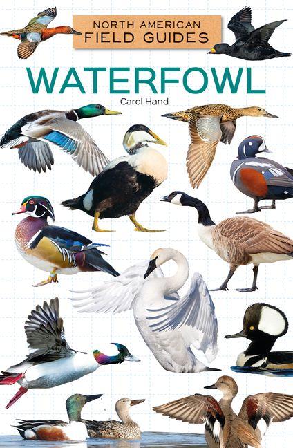 Vorderes Coverbild Waterfowl