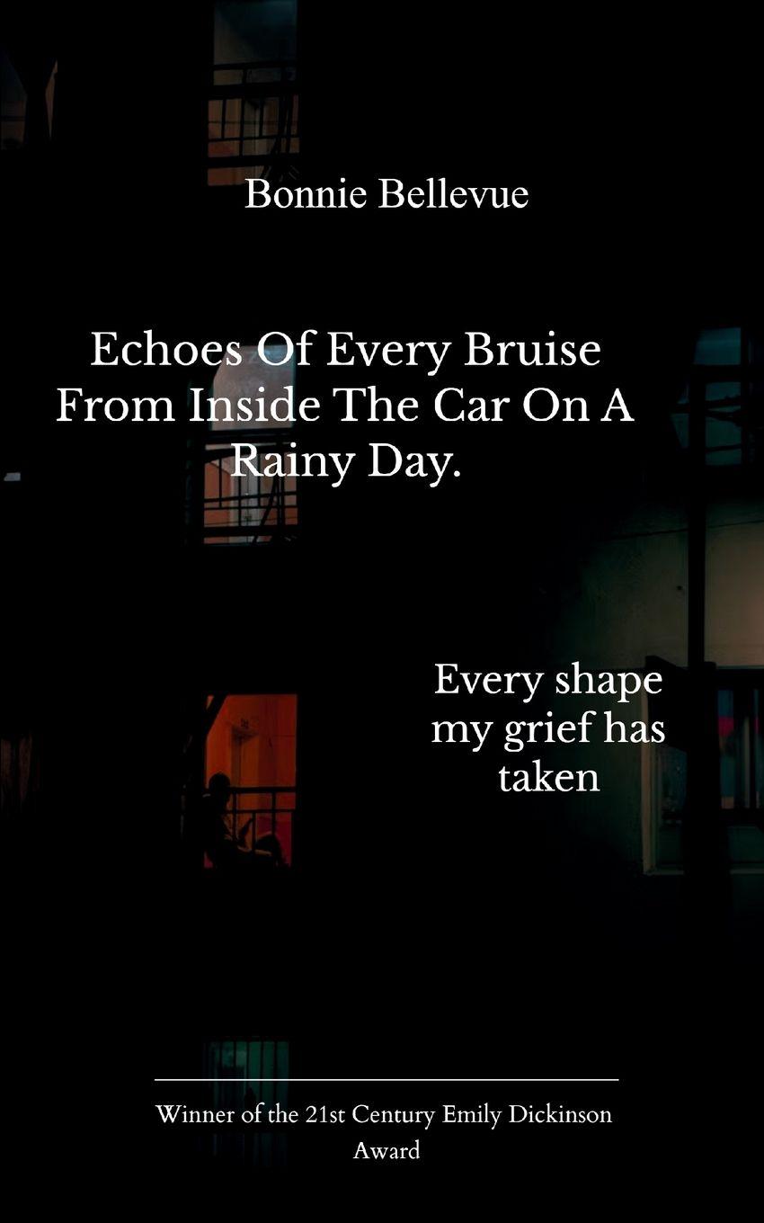 Vorderes Coverbild Echoes of every bruise from inside the car on a rainy day. Every shape my grief has taken