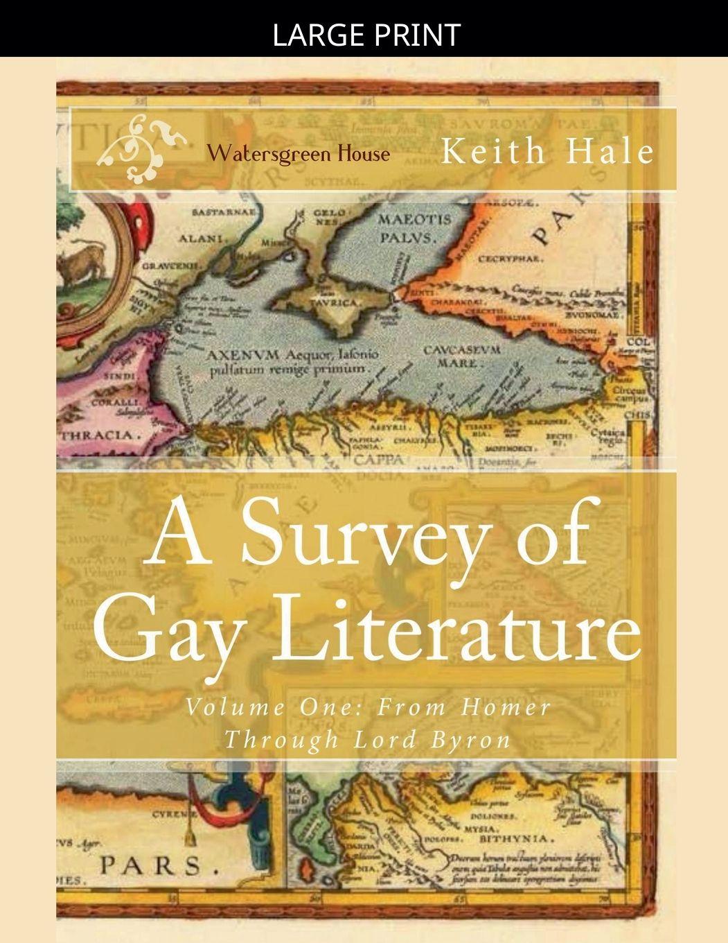 Vorderes Coverbild A Survey of Gay Literature, Volume One