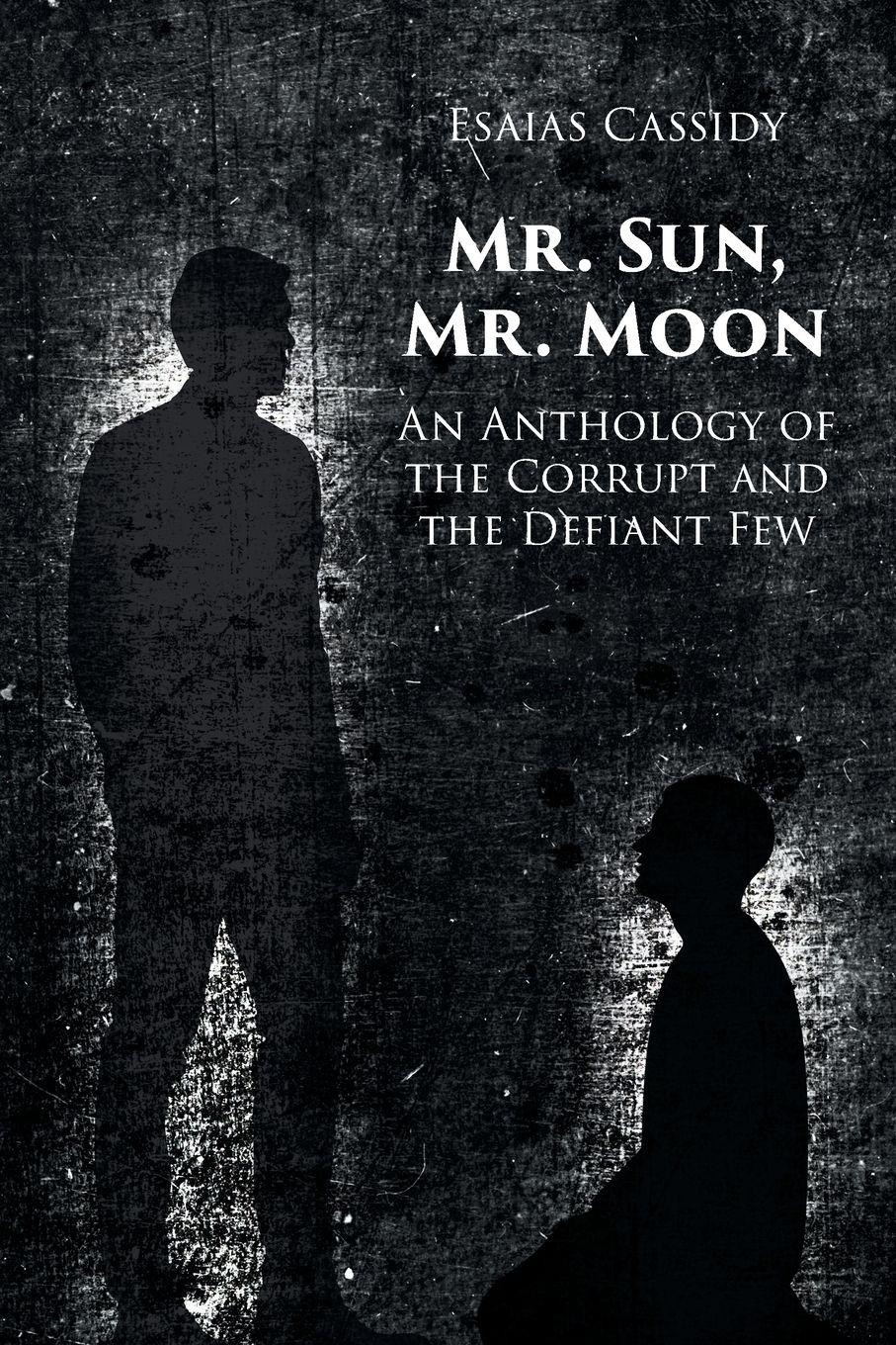 Vorderes Coverbild Mr. Sun, Mr. Moon