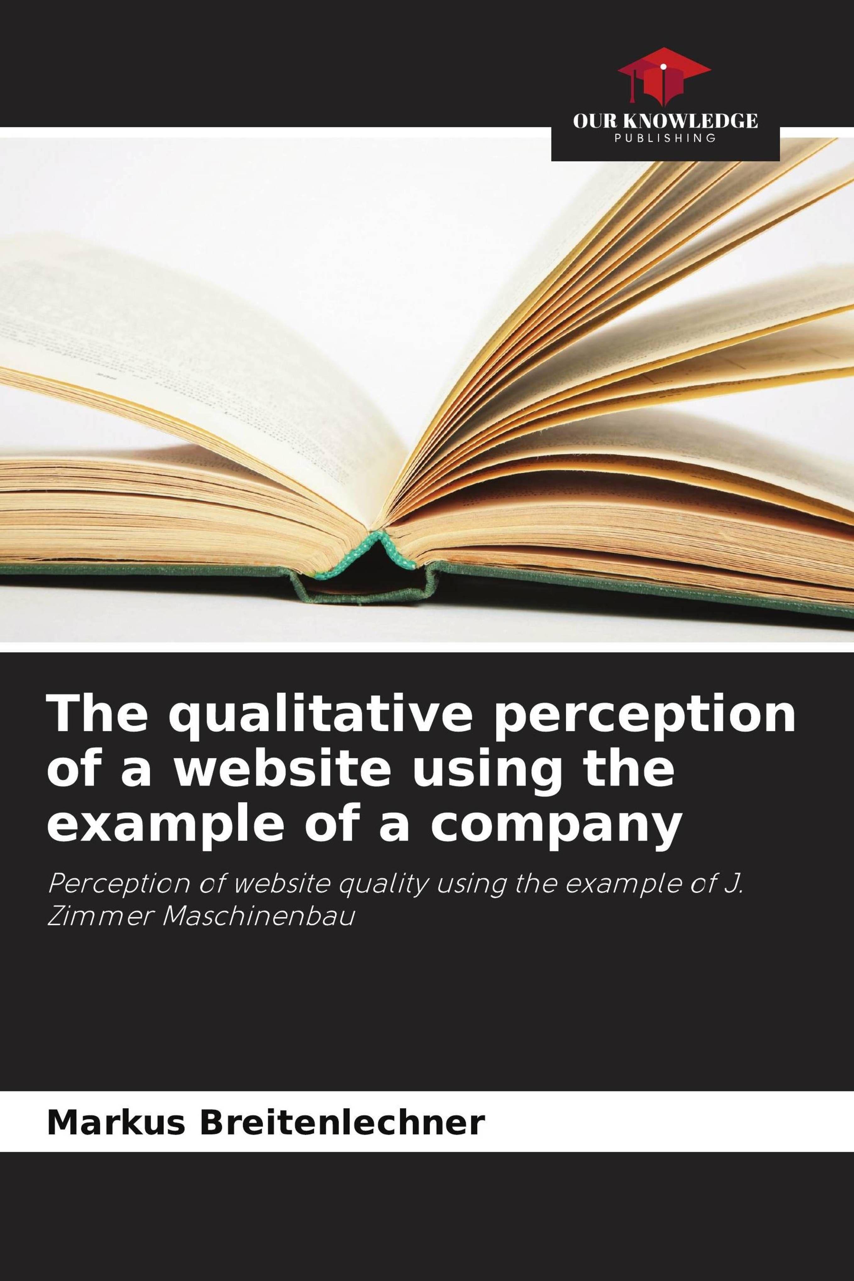 Vorderes Coverbild The qualitative perception of a website using the example of a company