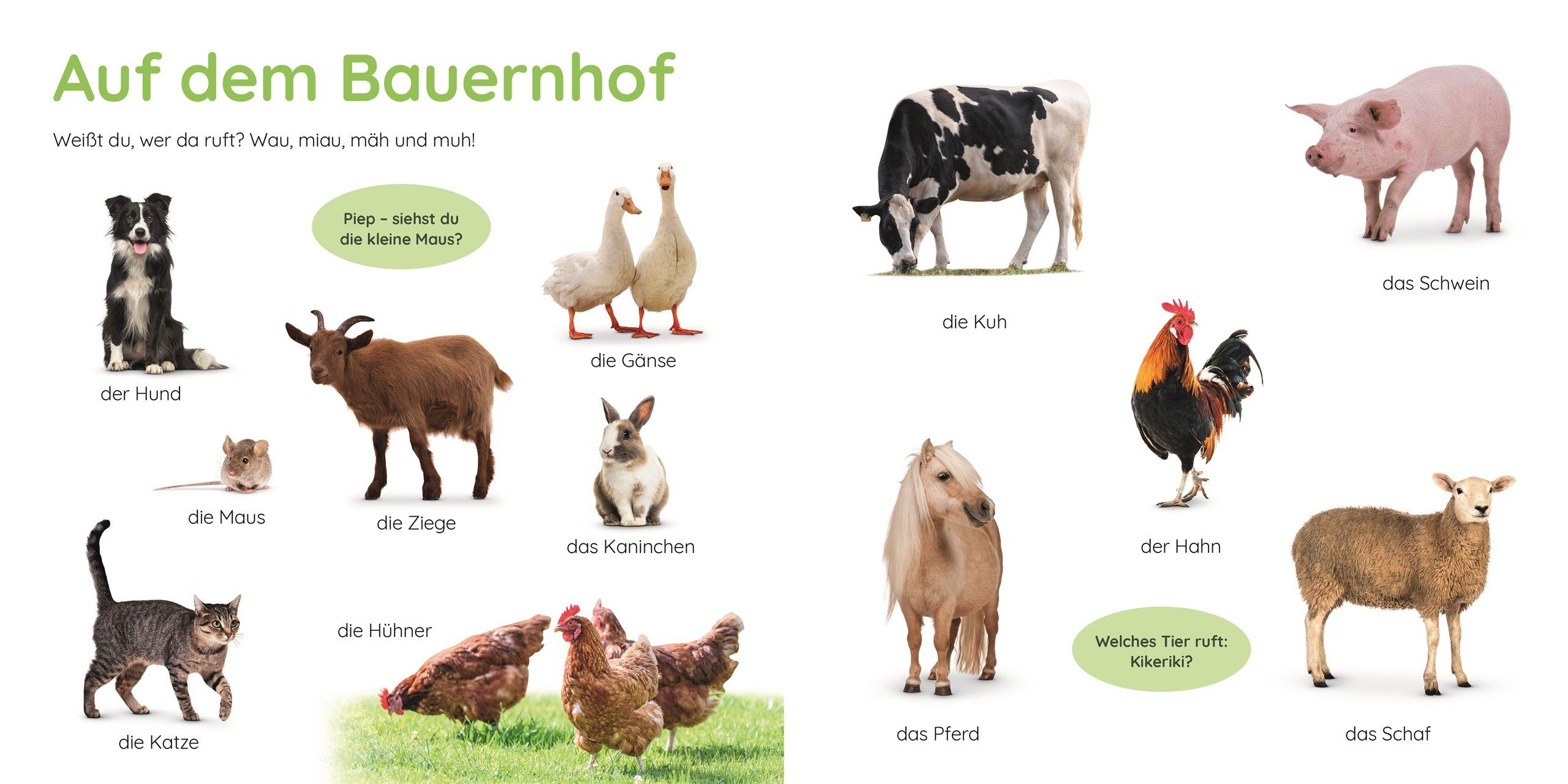 Beispielinhalt (Bild) Erstes Lernen Puzzlebuch. Tiere