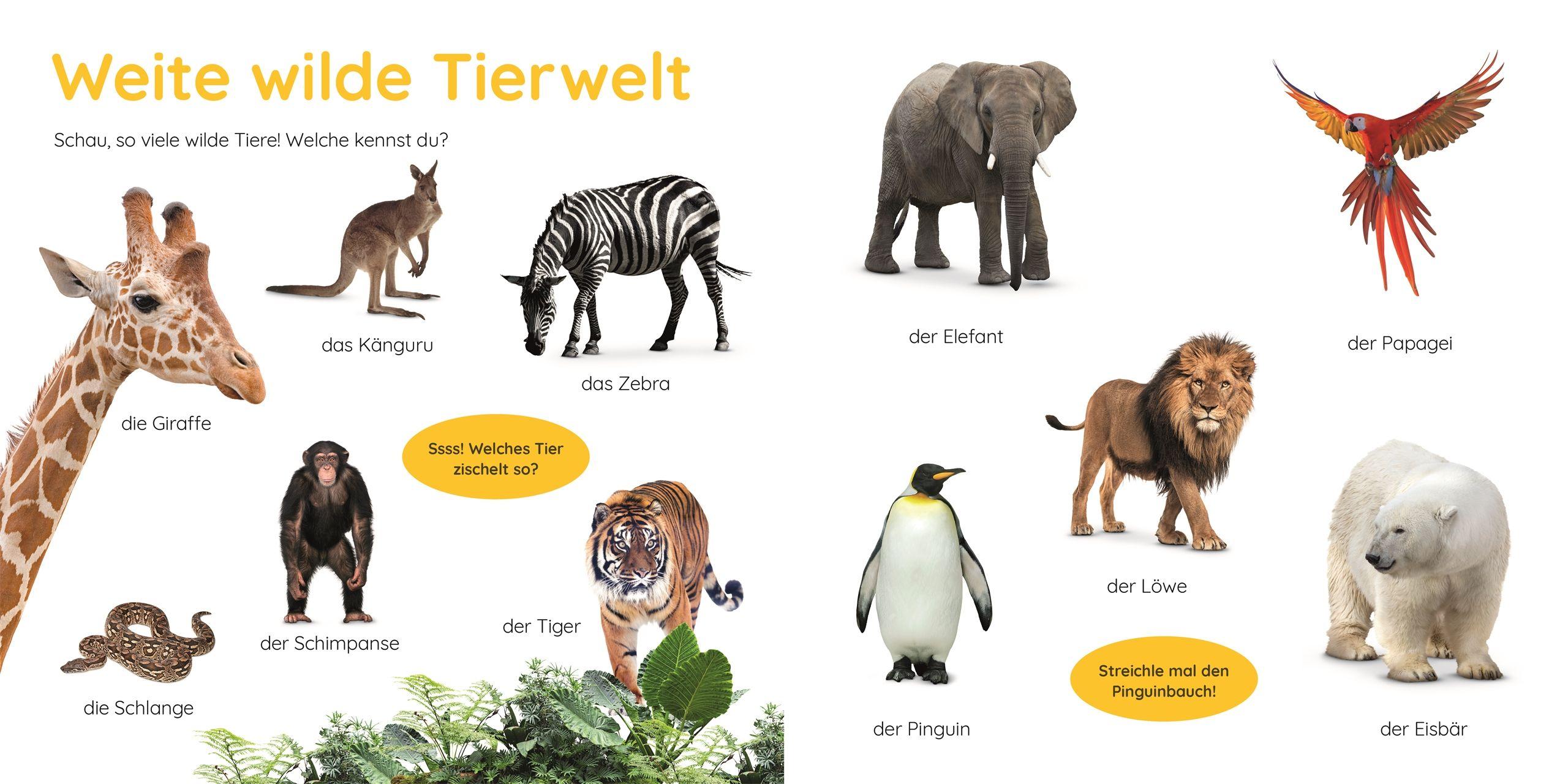 Beispielinhalt (Bild) Erstes Lernen Puzzlebuch. Tiere