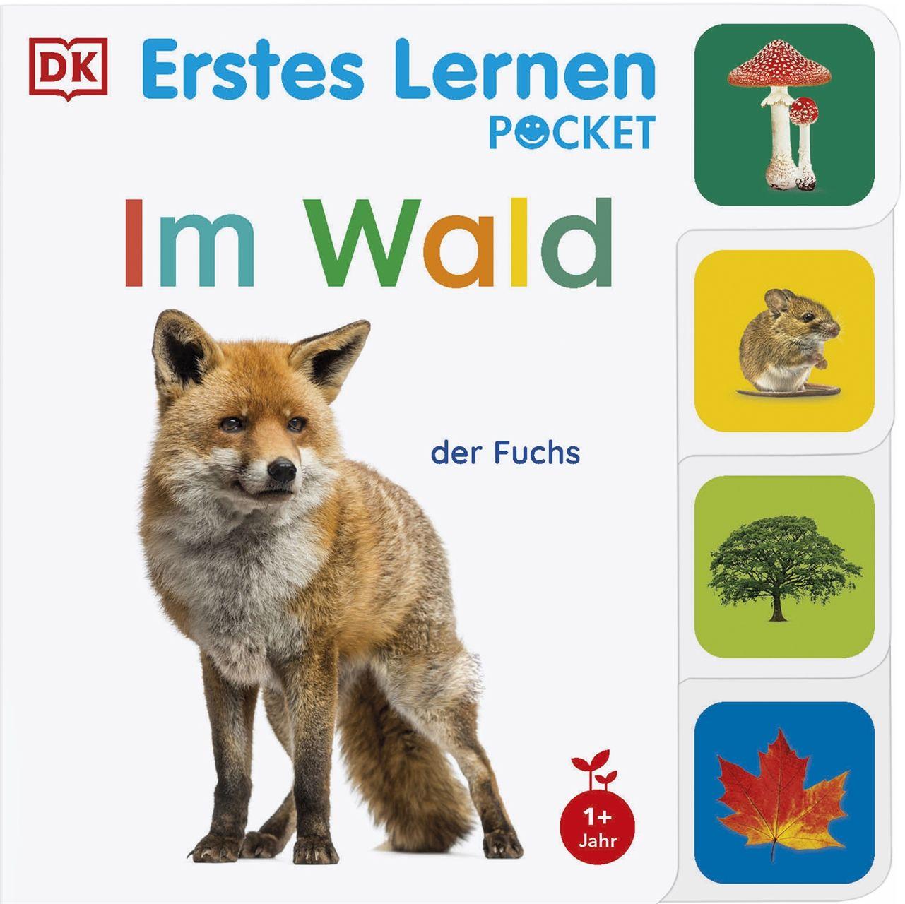 Vorderes Coverbild Erstes Lernen Pocket. Im Wald