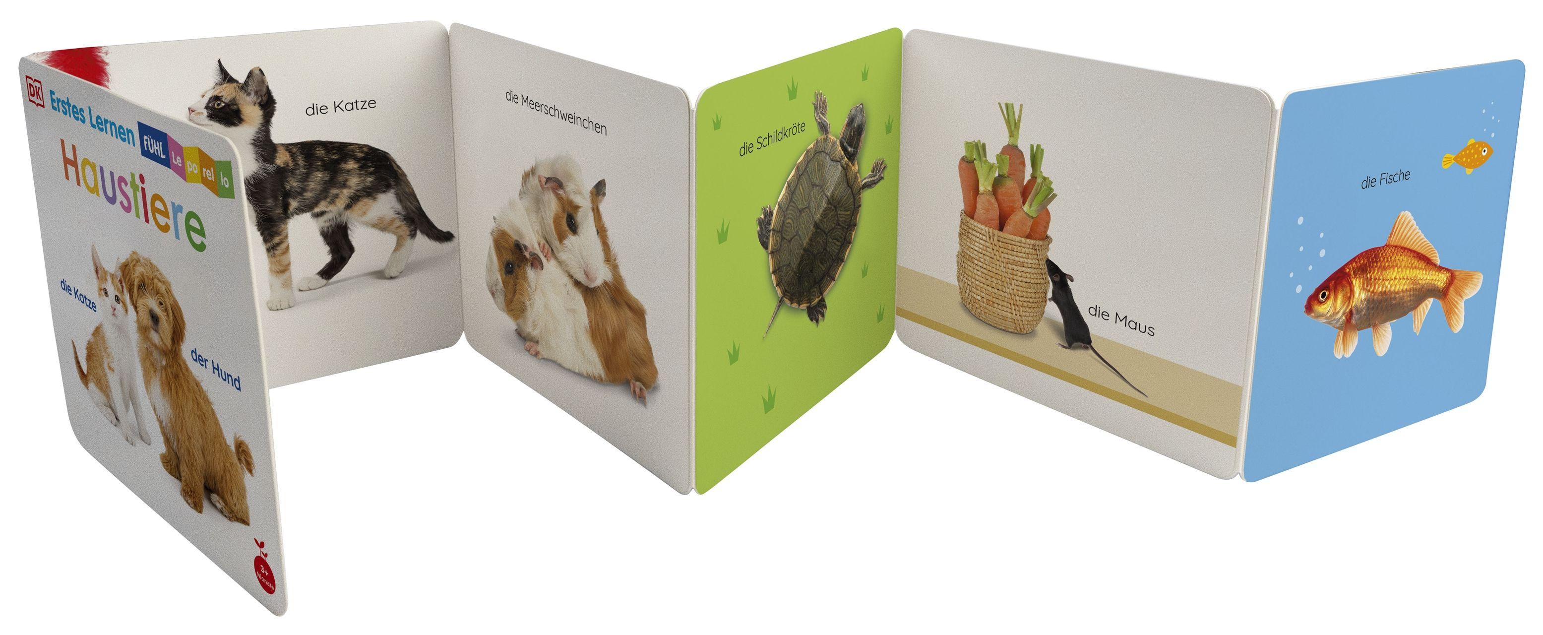 Beispielinhalt (Bild) Erstes Lernen Fühl-Leporello. Haustiere