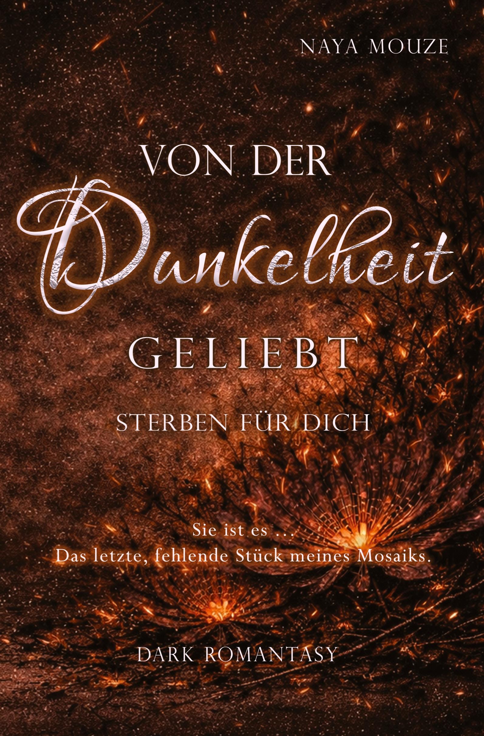 Vorderes Coverbild Von der Dunkelheit geliebt