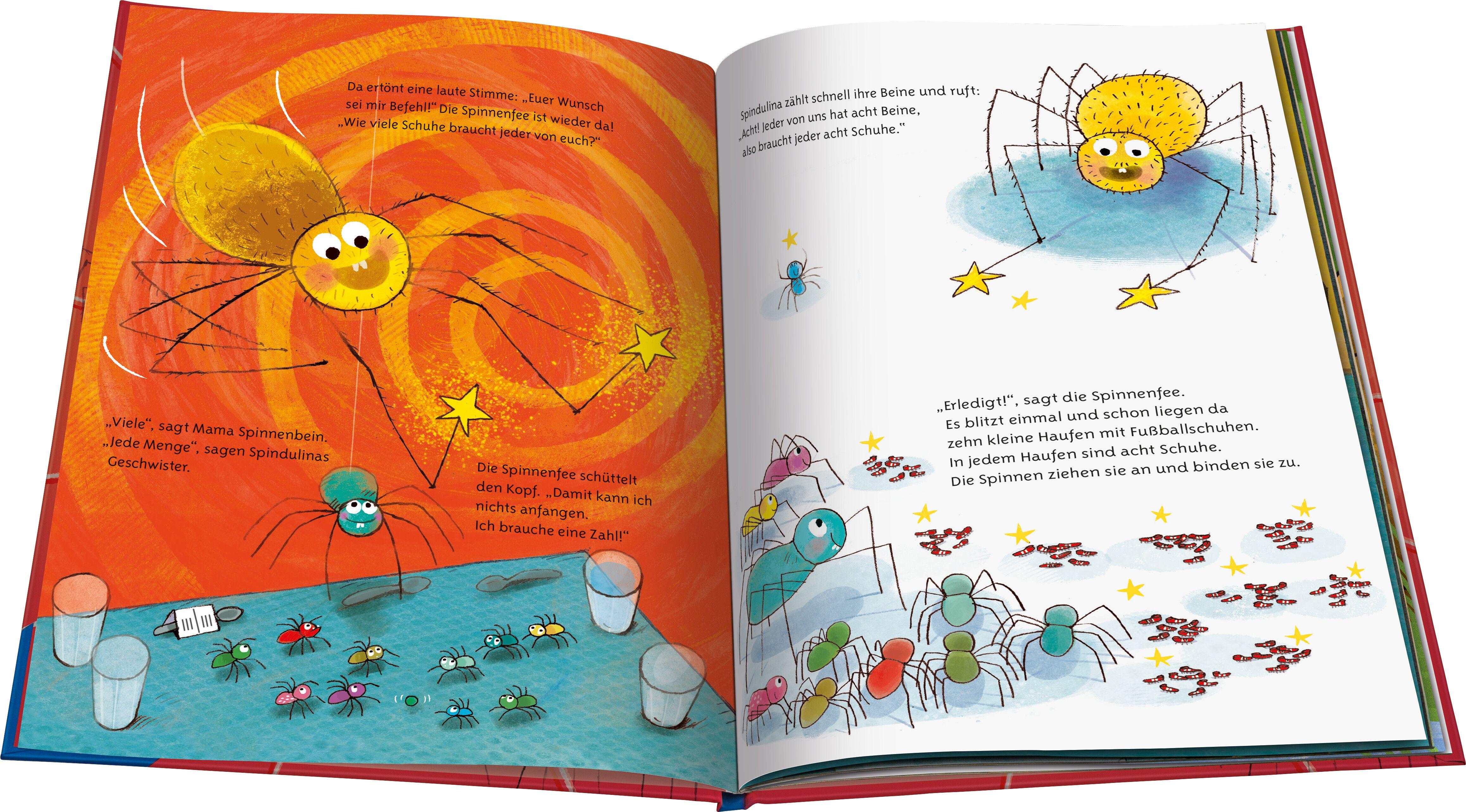 Beispielinhalt (Bild) Spindulina Spinnenbein