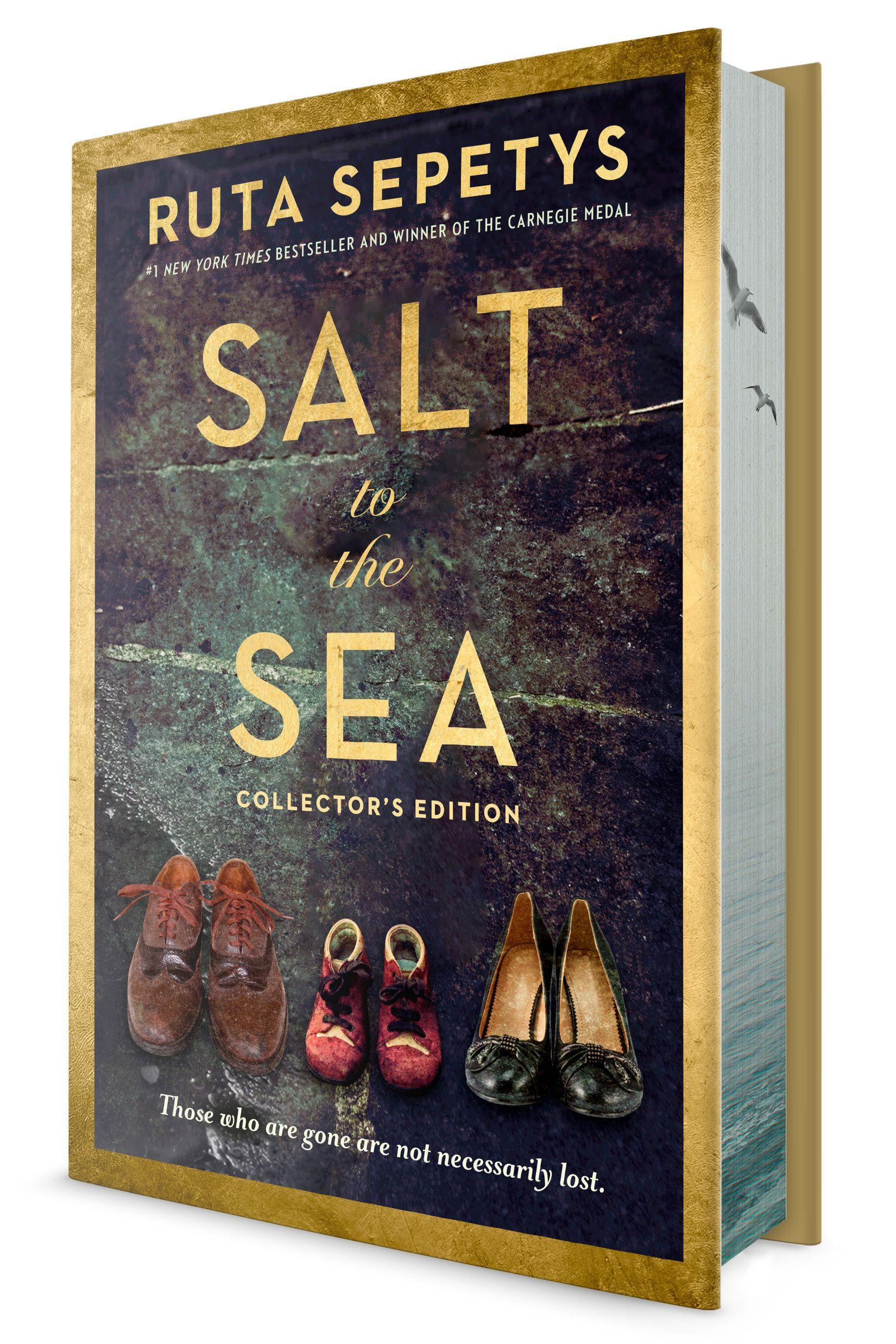 Vorderes Coverbild Salt to the Sea: Collector's Edition