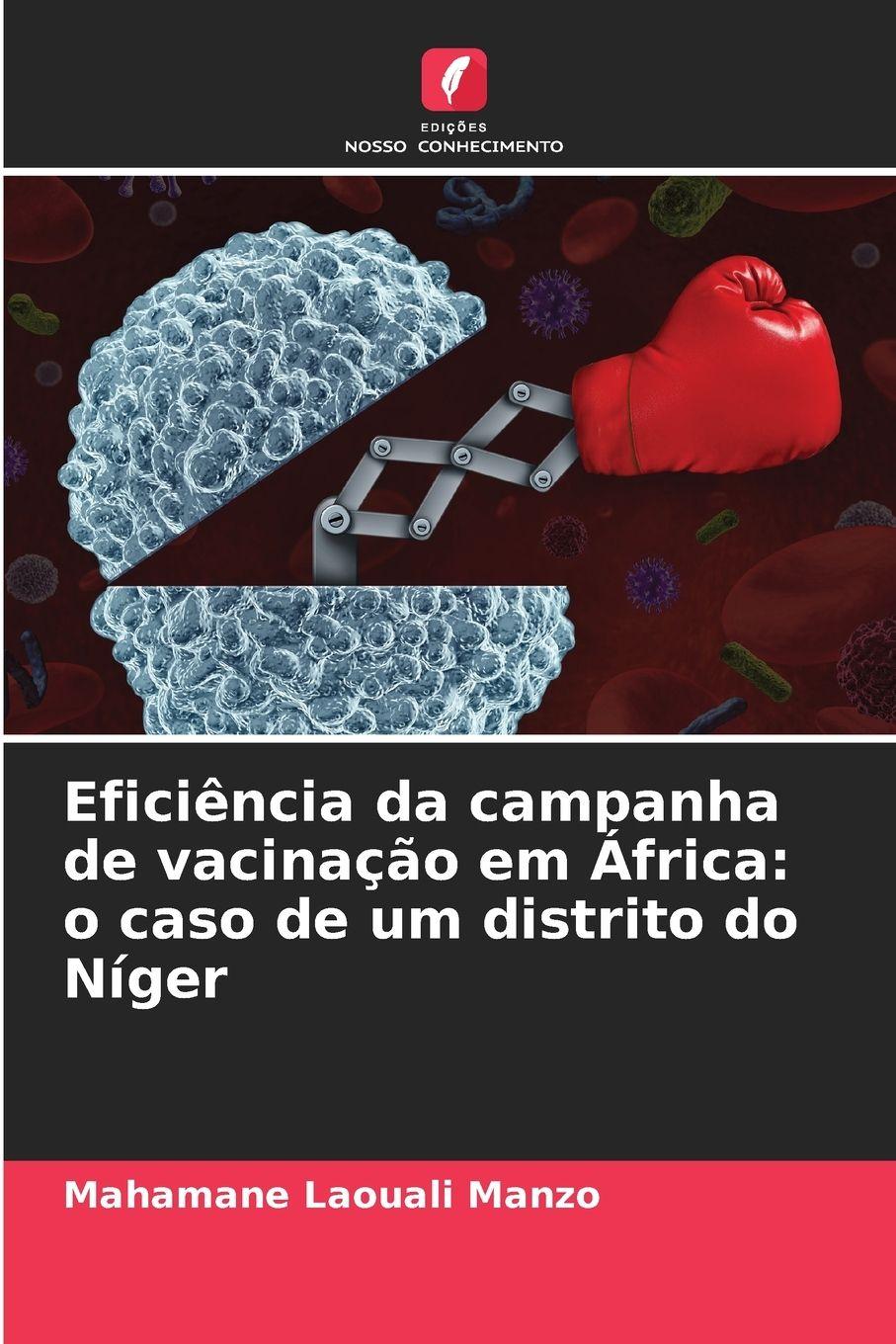 Vorderes Coverbild Eficiência da campanha de vacinação em África: o caso de um distrito do Níger